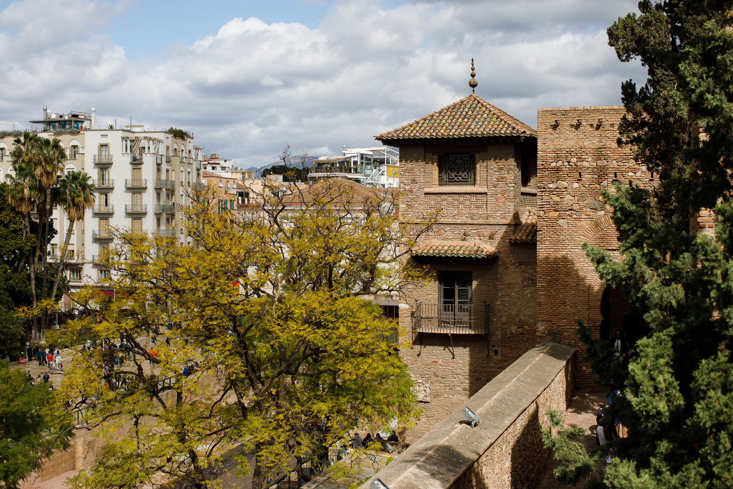 Малага 2024. Репортажный и портретный фотограф Русакова Жанна