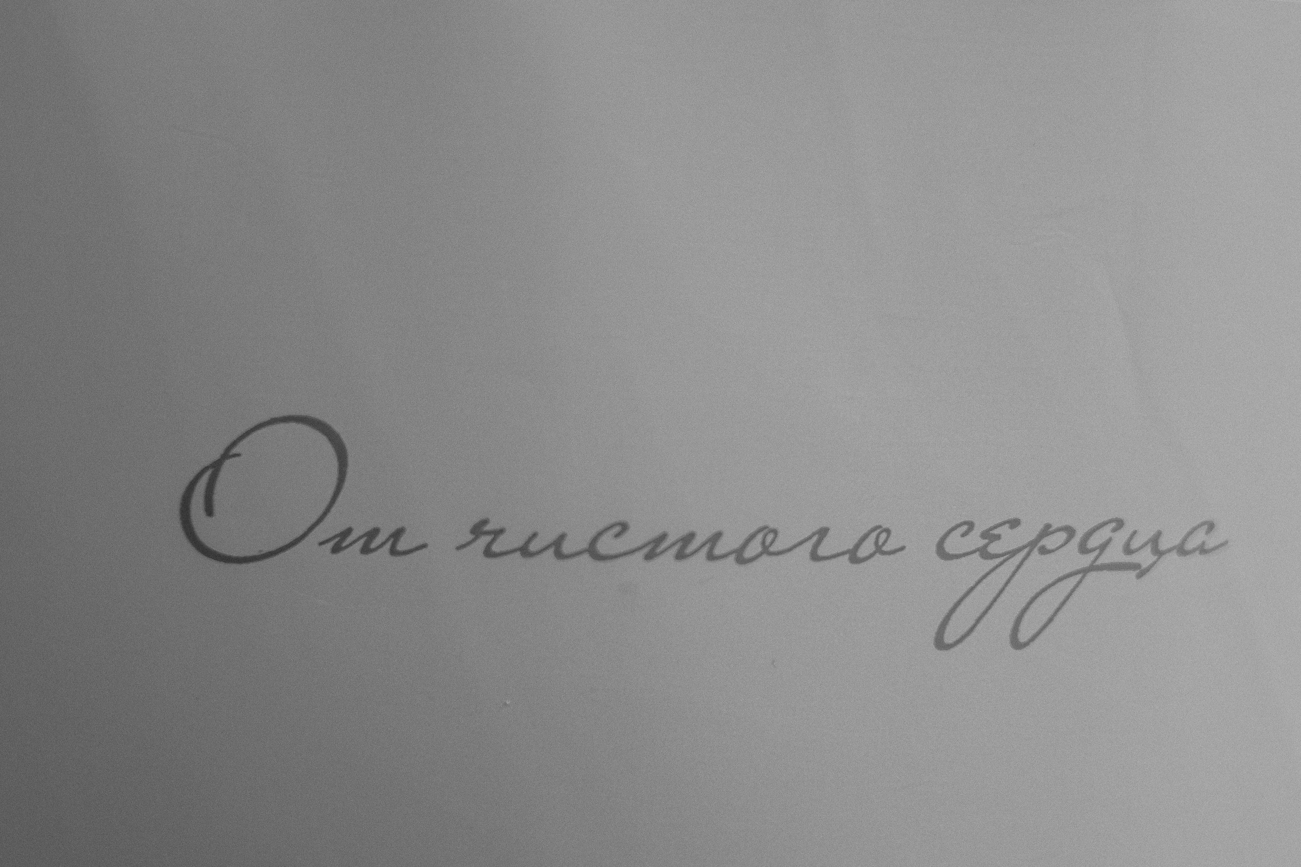 25 лет Серебряная свадьба. Фотограф Юлия Мальцева