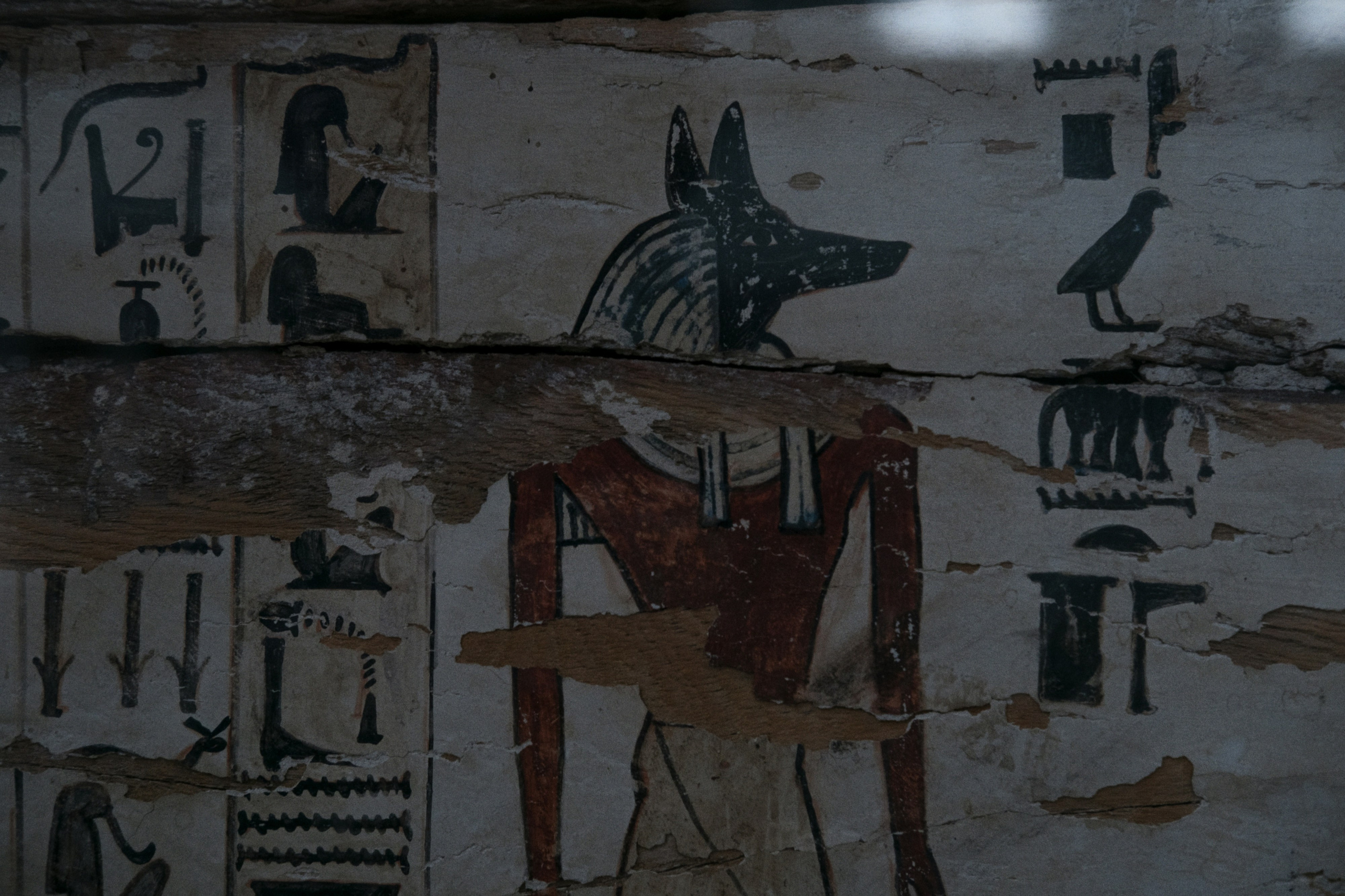 Archaeological Museum / Cairo, Egypt AW25. Фотограф Юрин Евгений
