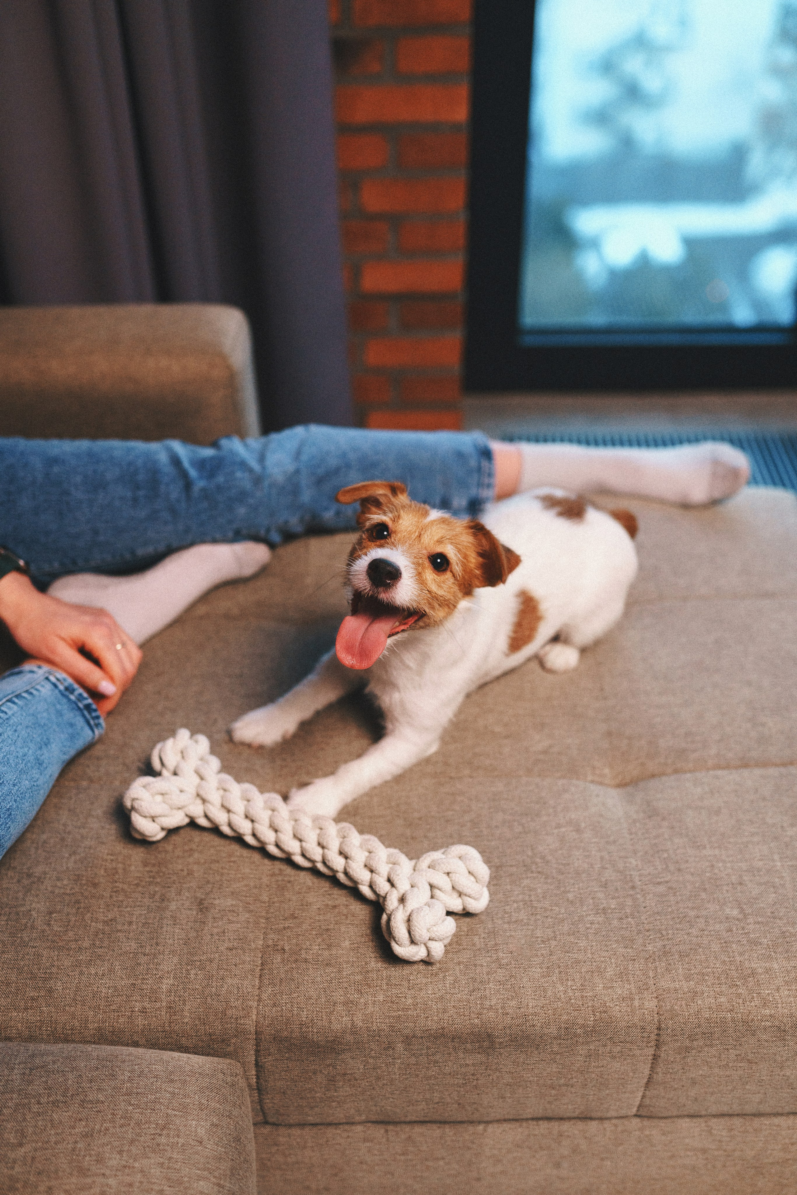 M-Pets. Фотограф анималист Осипчикова Мария