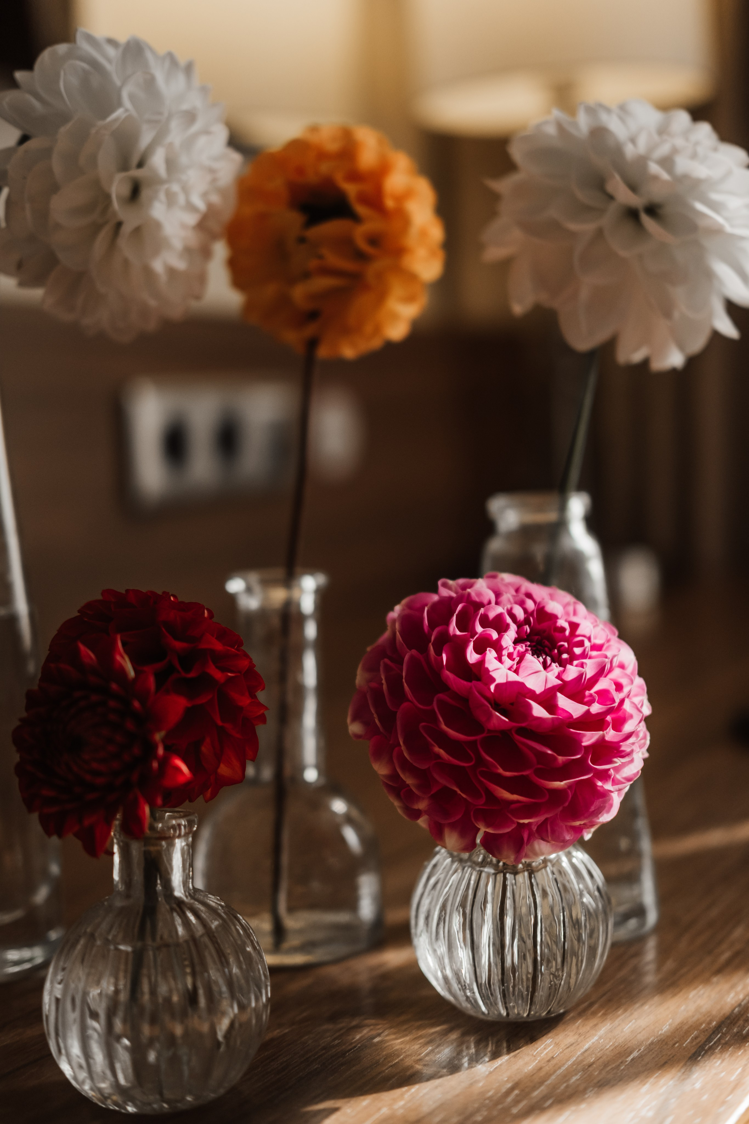 Алина и Коля. Свадебный и семейный фотограф в Ульяновске Анастасия Мышенкова