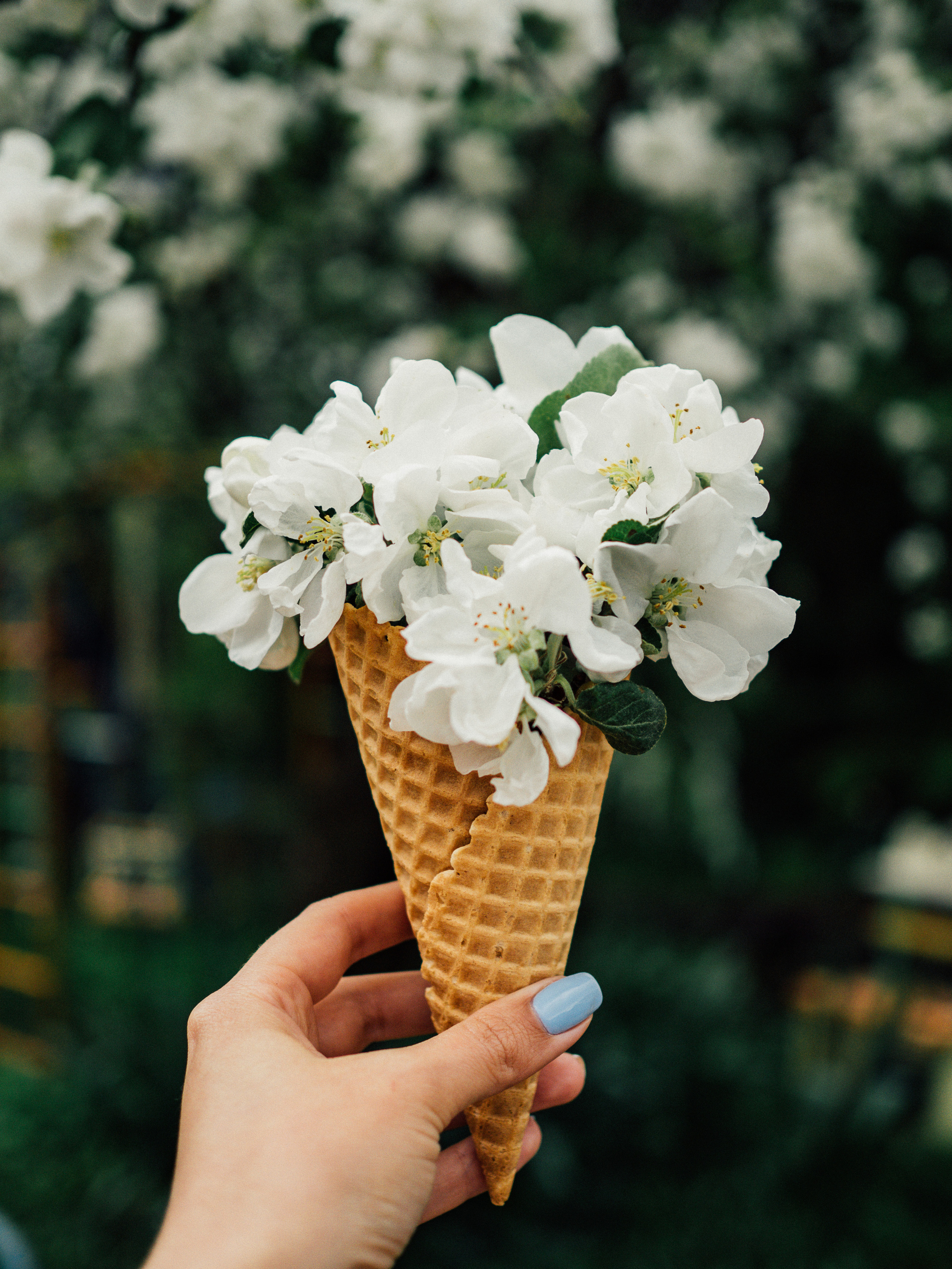 Предметная съёмка. Портретный и семейный фотограф Юлия Герман