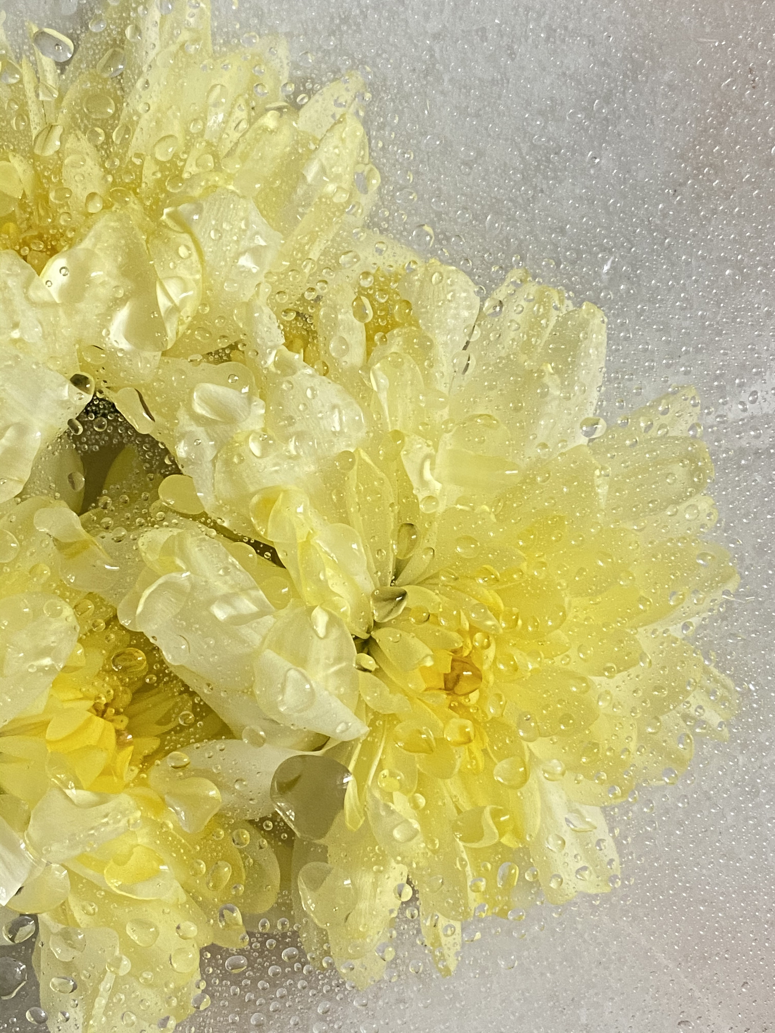 Предметная съёмка. Портретный и семейный фотограф Юлия Герман