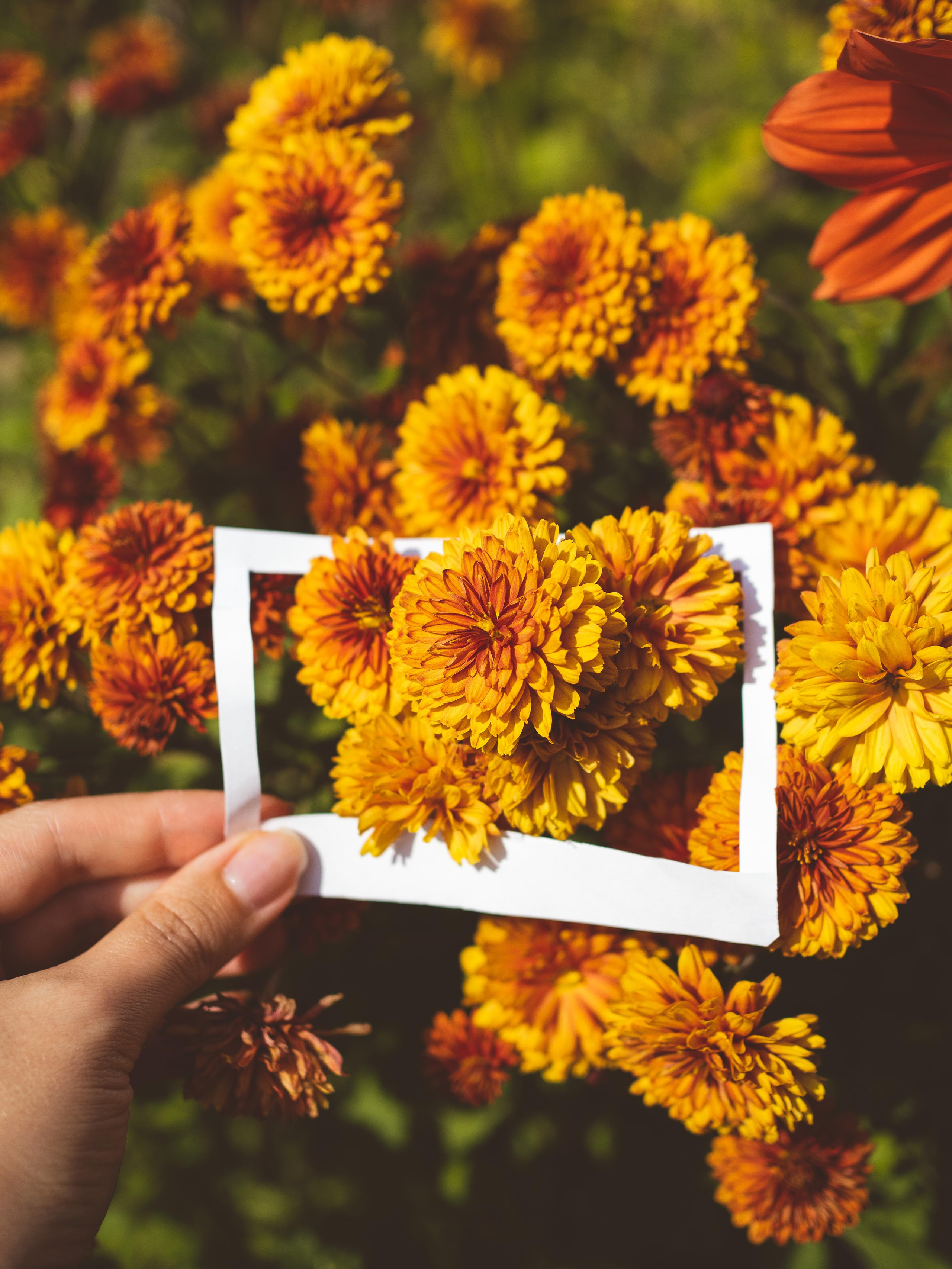 Предметная съёмка. Портретный и семейный фотограф Юлия Герман