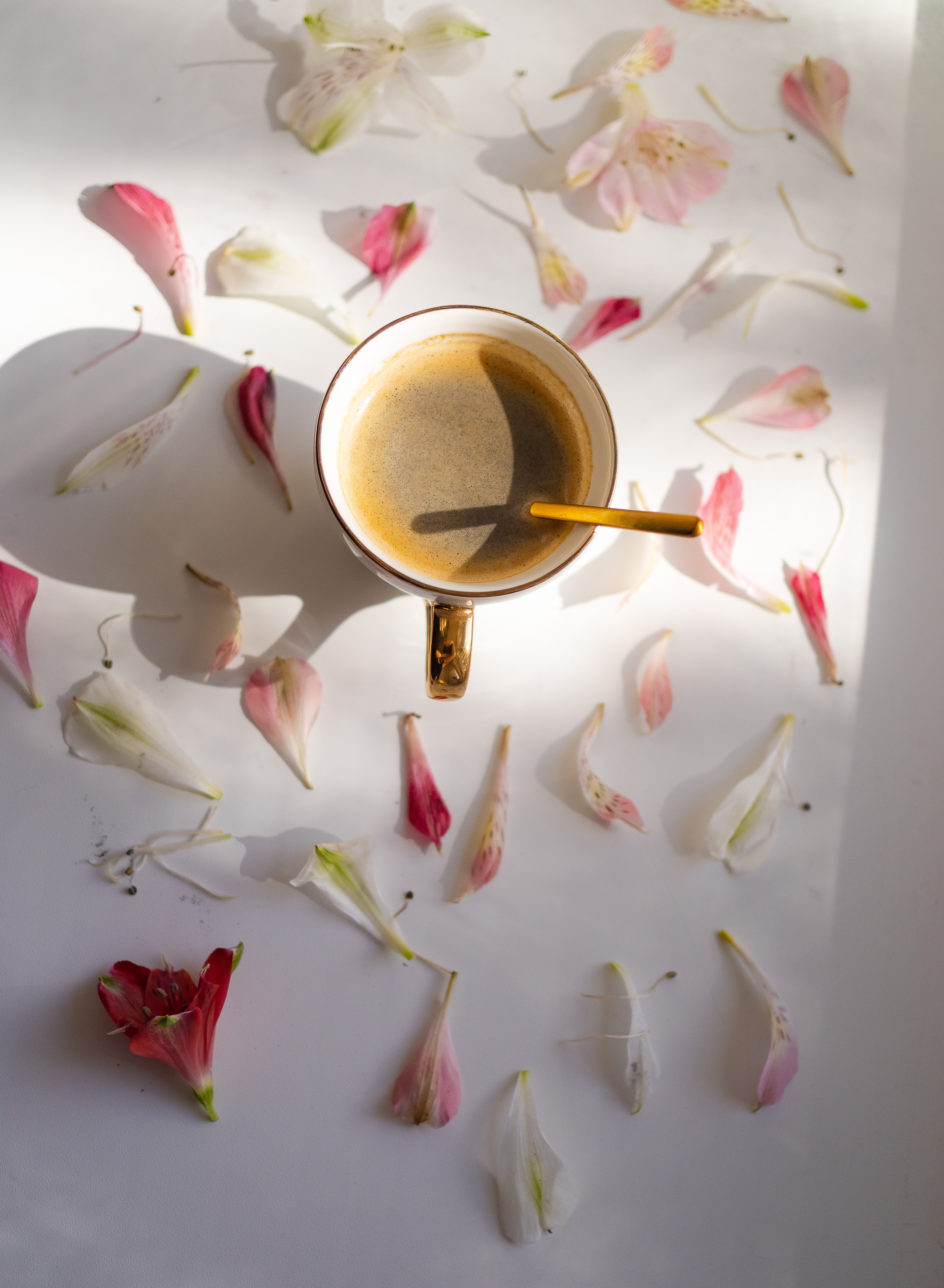 Предметная съёмка. Портретный и семейный фотограф Юлия Герман