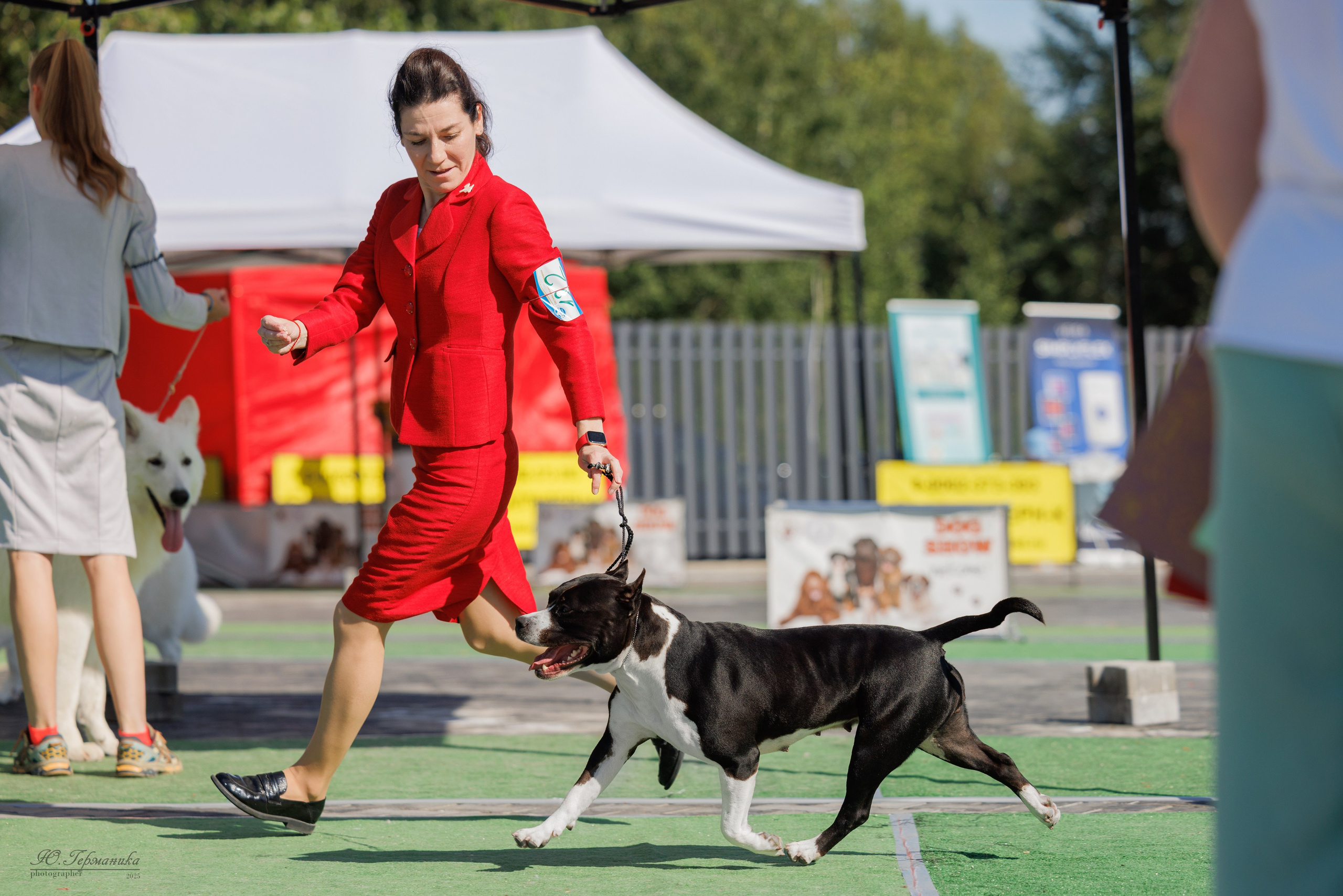 Калининград 25-27.07 Волгоград 1-3.08 2025. Фотограф-анималист Юлия Германика
