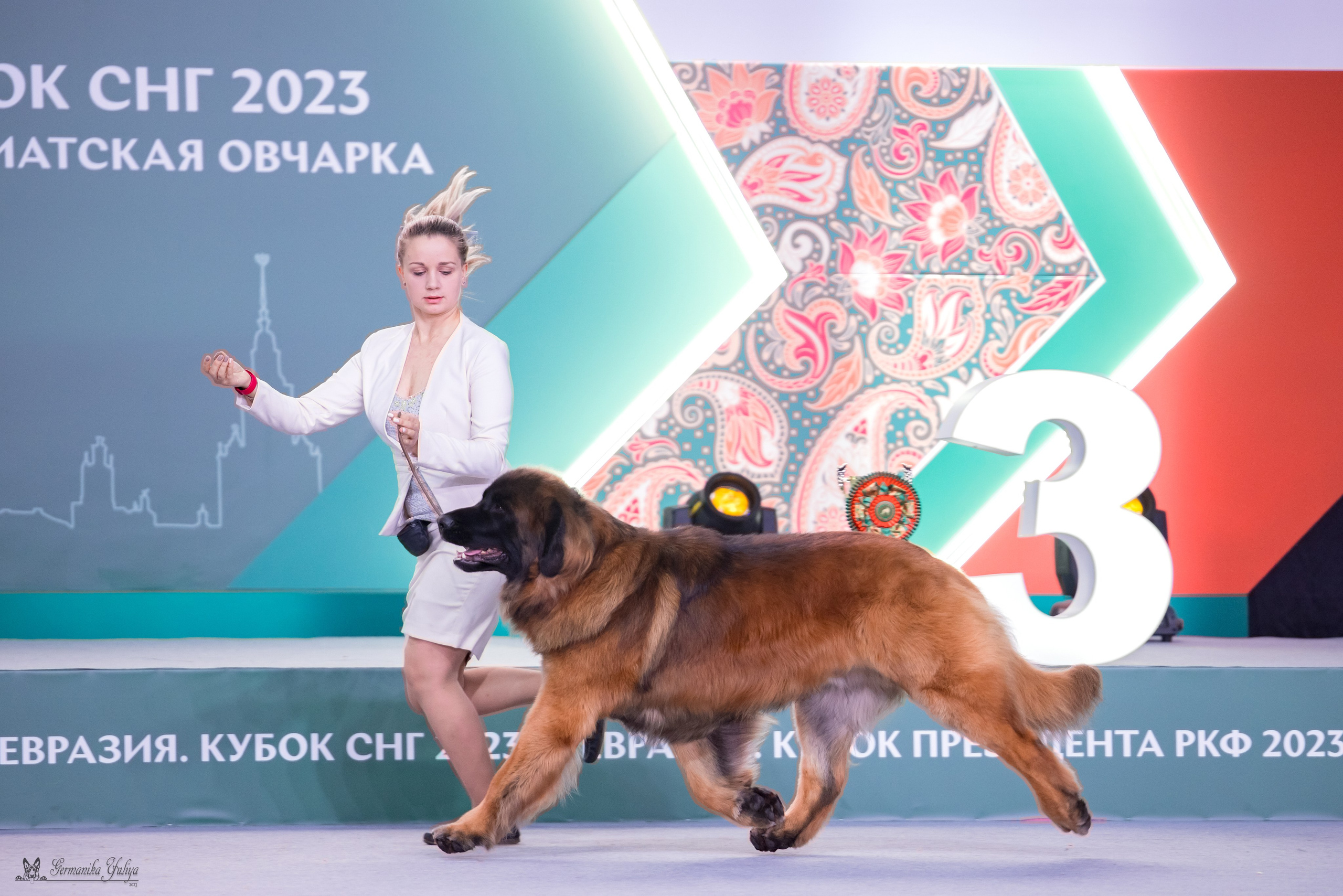 ЕВРАЗИЯ 18-19.11.2023. Фотограф-анималист Юлия Германика