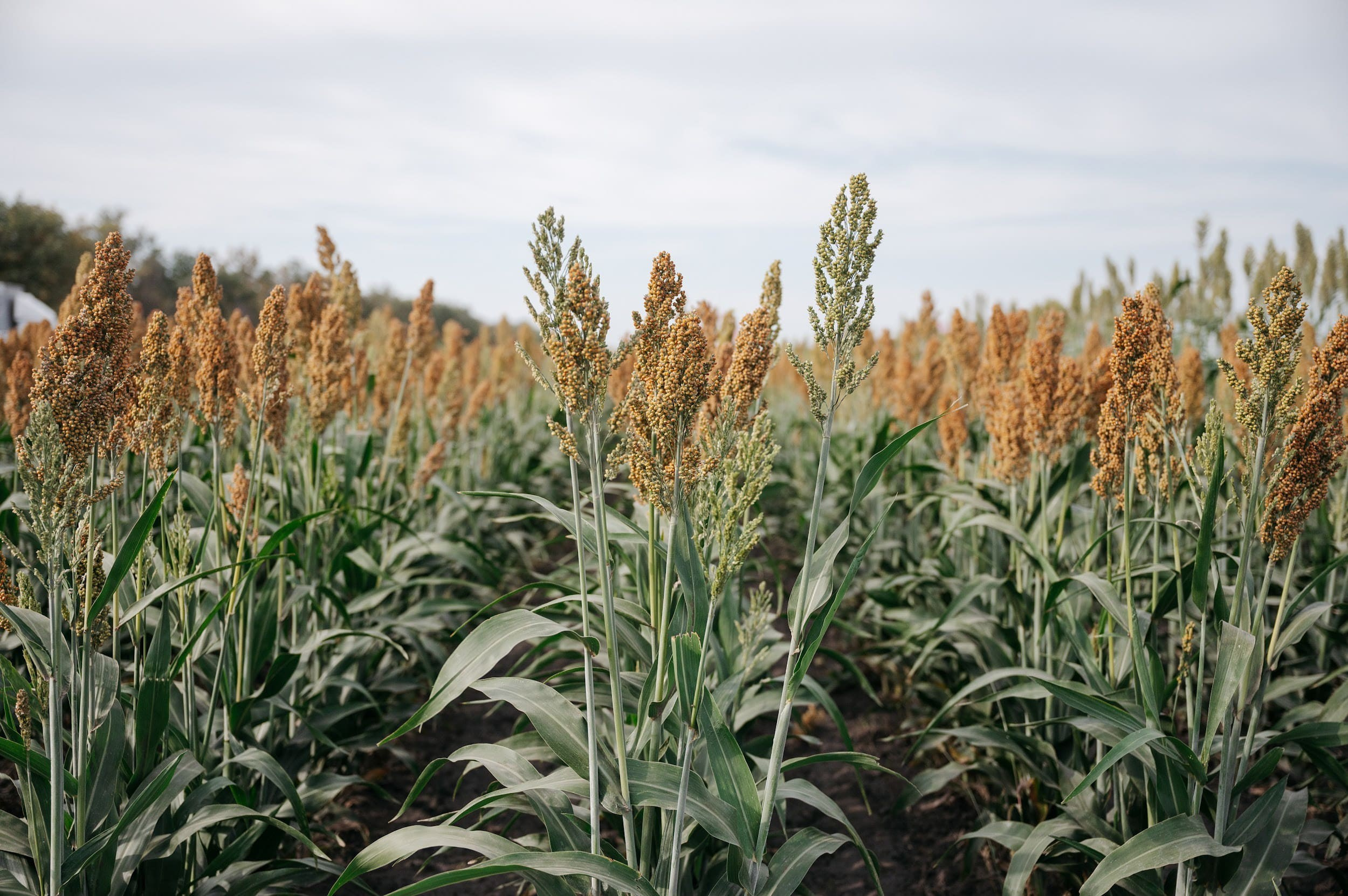 LIDEA. Владимир Дьяконов — Индустриальный и репортажной фотограф в России