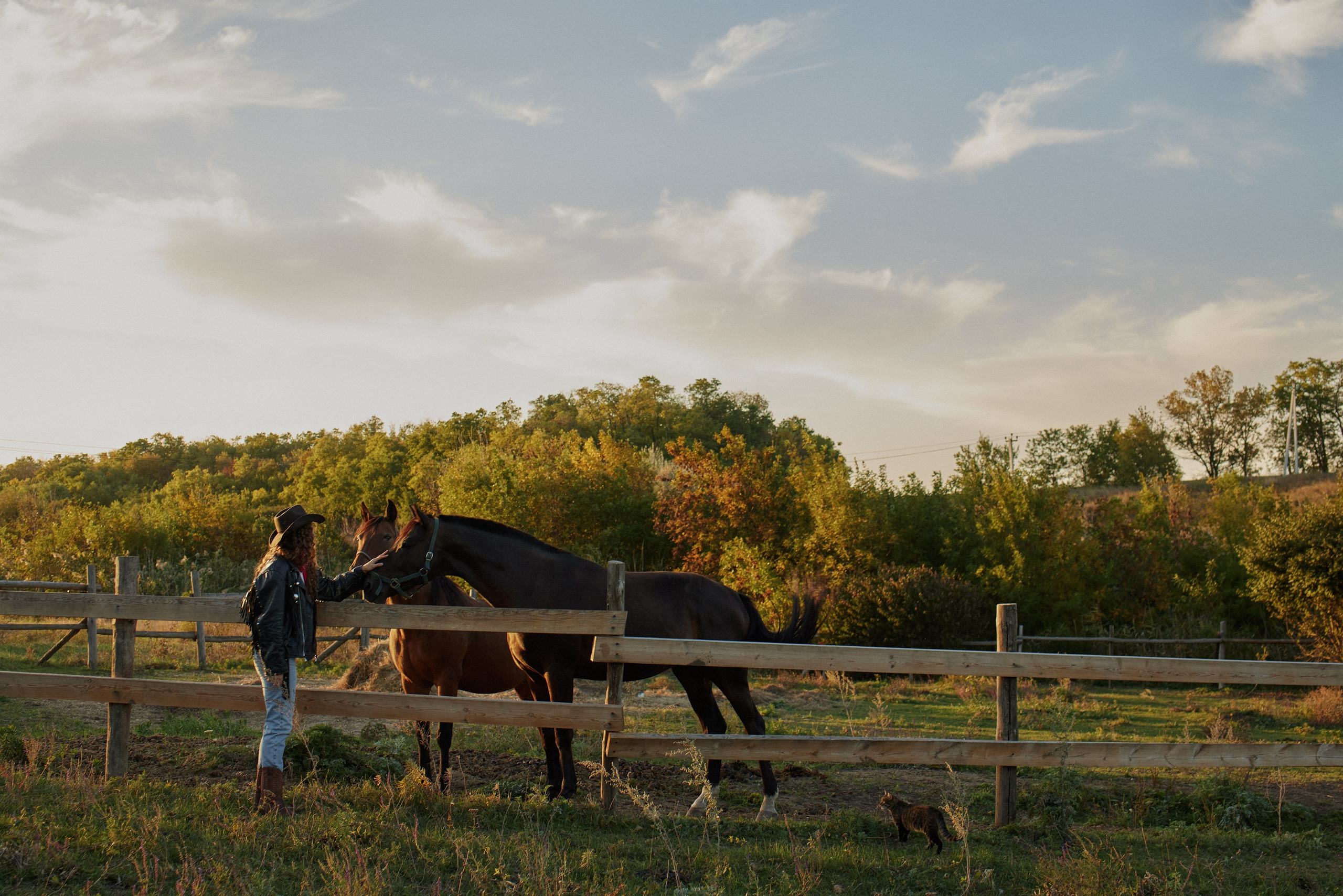 Ranch. Портретный фотограф в Москве Дмитрий Пивень