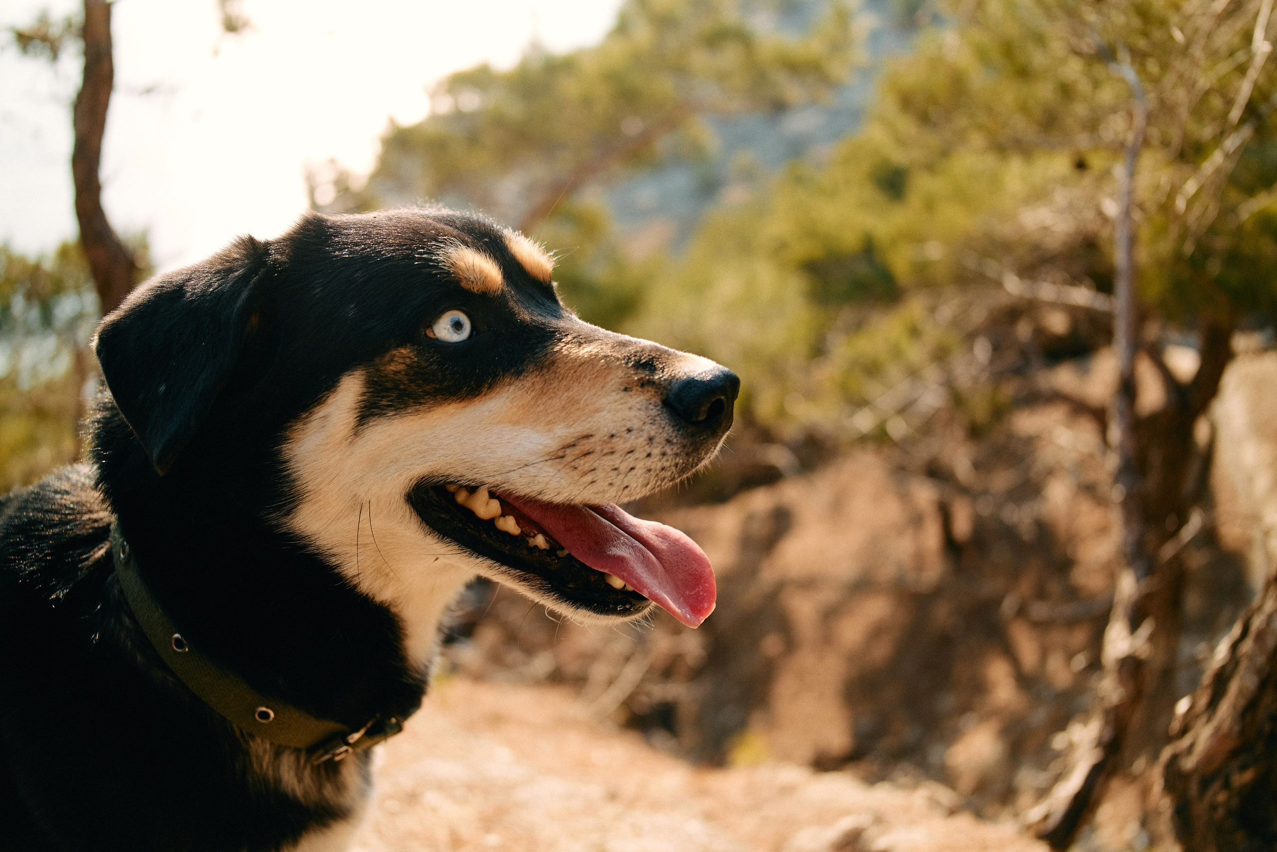 Юг России. Профессиональный Фотограф во Владимире, в Москве и в Суздале — Полина Романычева
