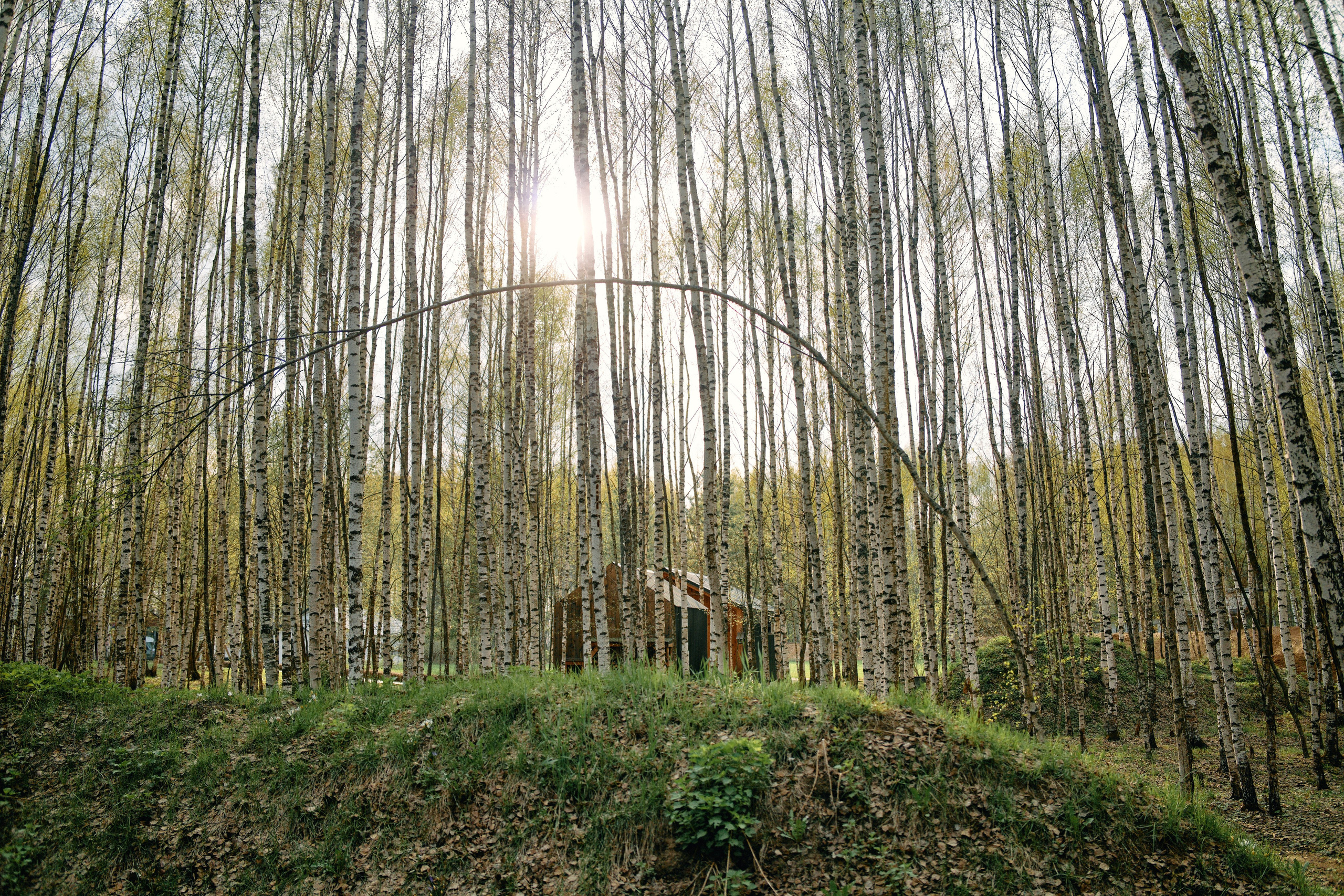 Бутик-отель Поле летом. Профессиональный Фотограф во Владимире, в Москве и в Суздале — Полина Романычева