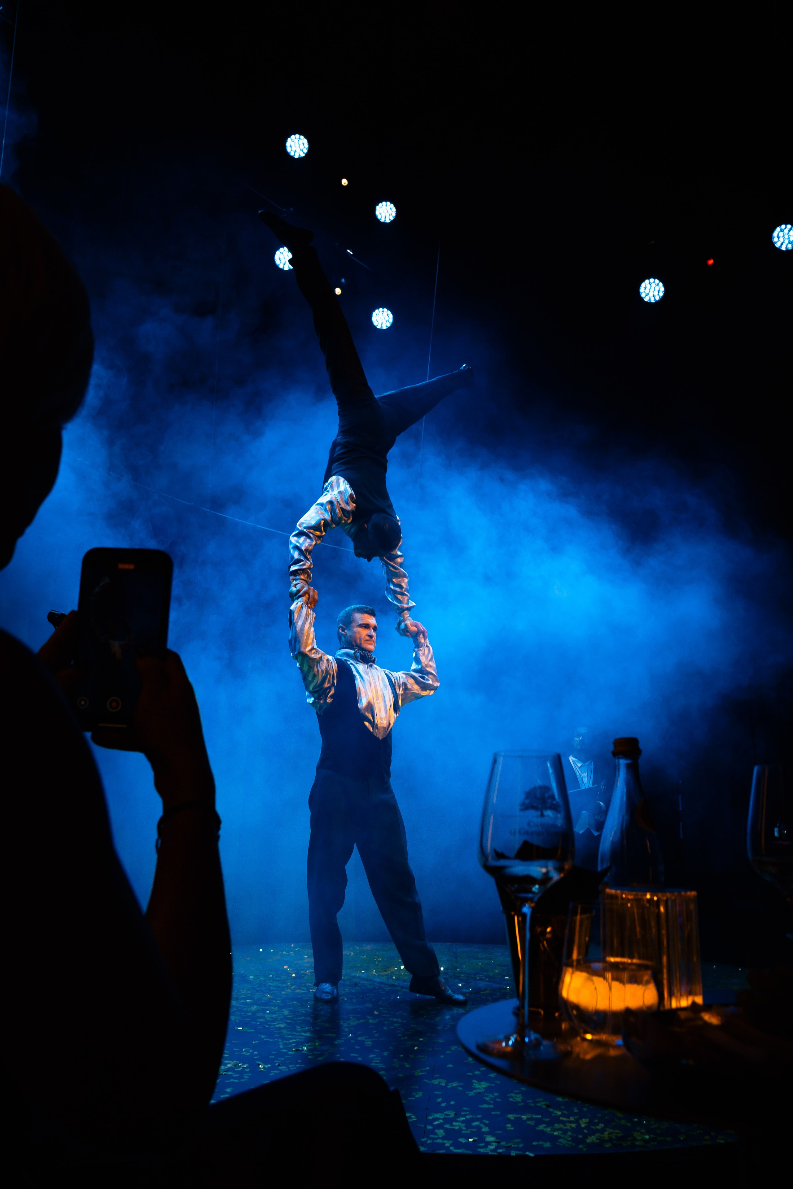 Цирковое шоу. Видеограф Добромыслов