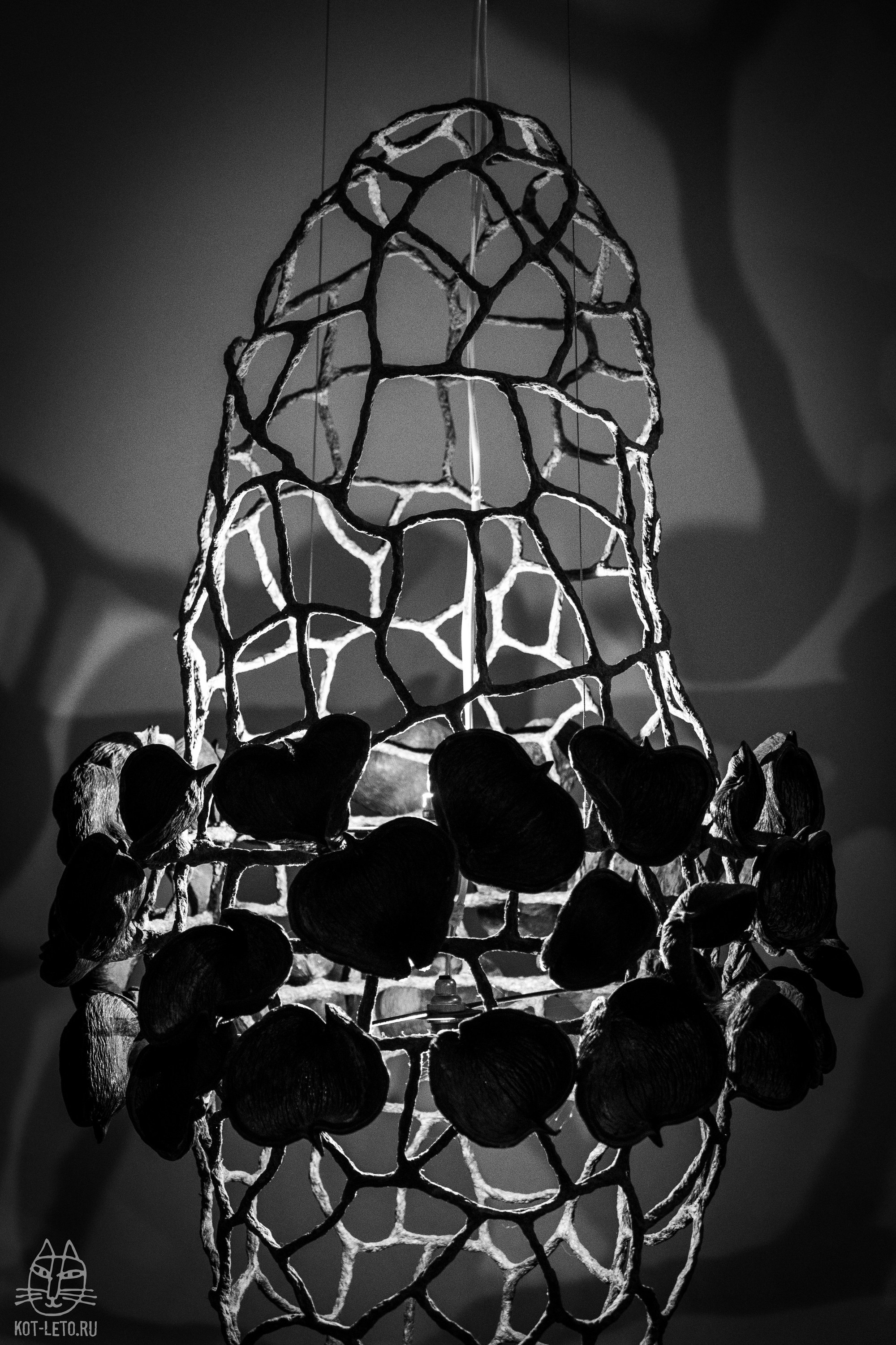 Exhibition BIOPHILIA (Goa). Твой фотограф — Полосатый кот