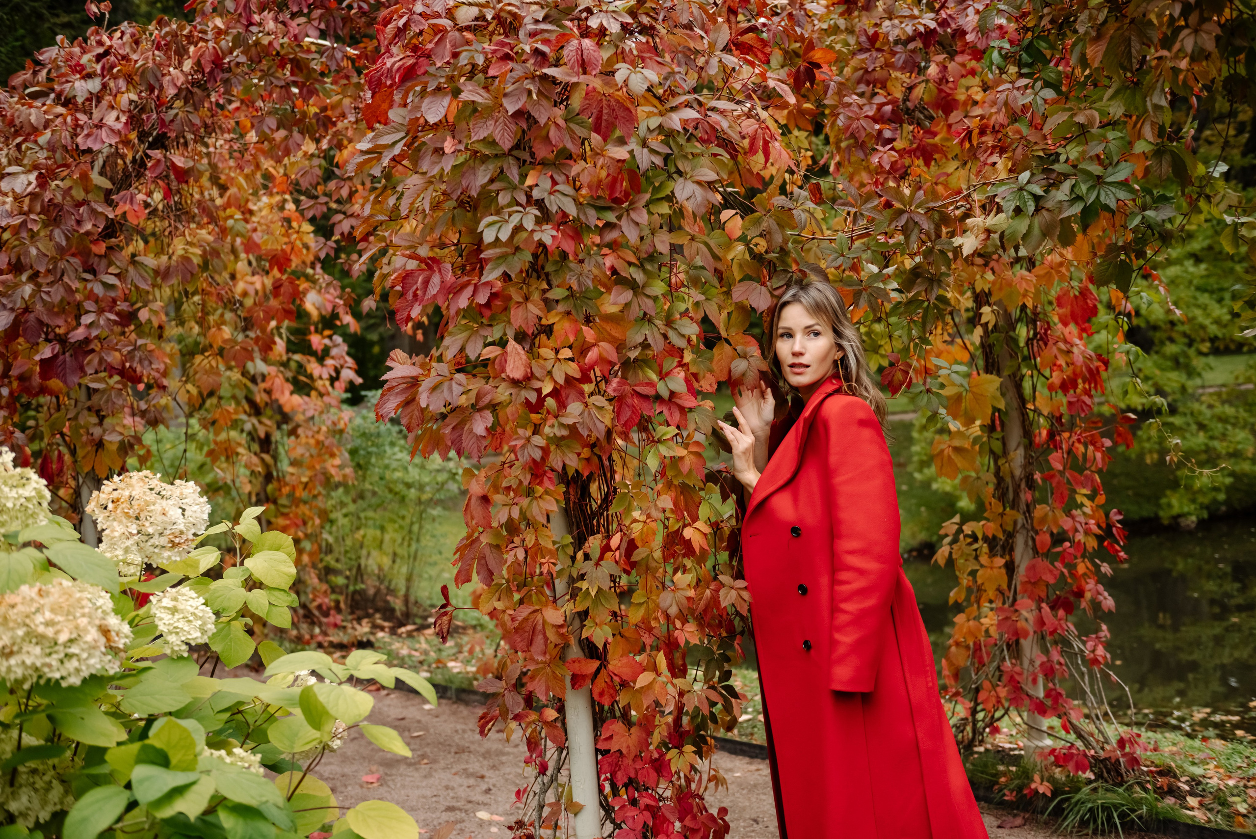 Осенний Ораниенбаум. Свадебный и сеейный фотограф в Санкт-Петербурге Елена Худякова