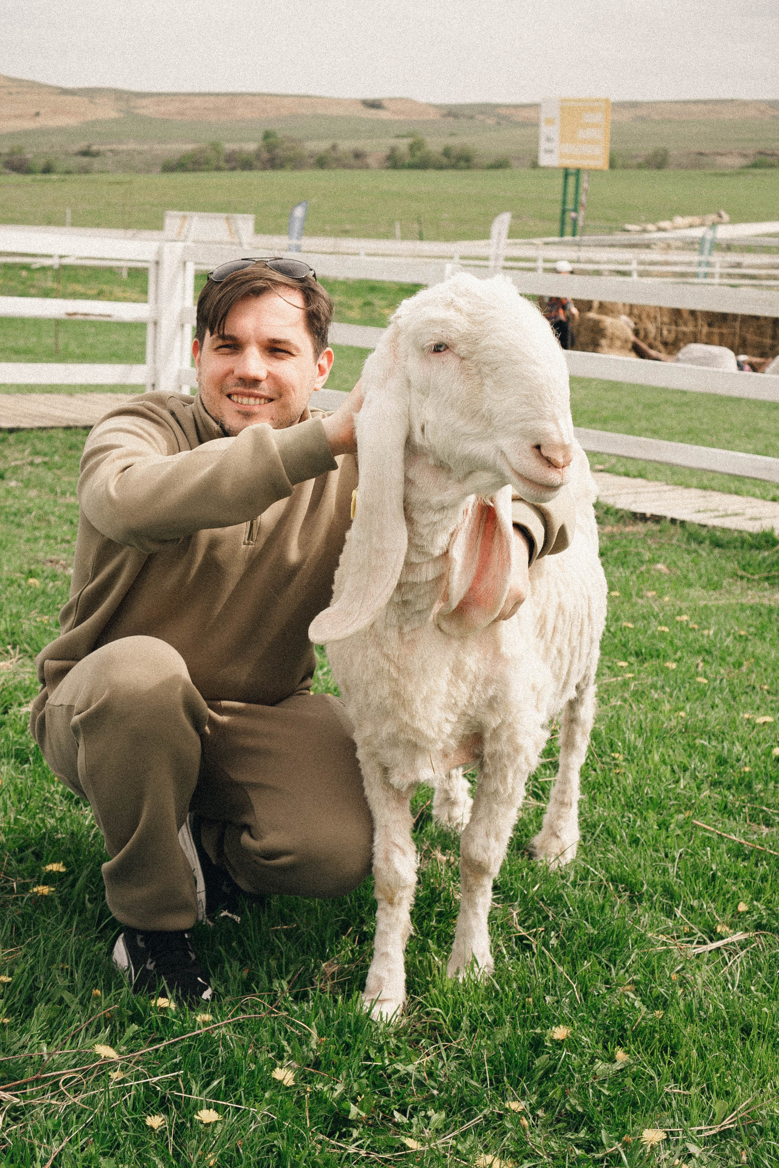 Ферма Альпак. Профессиональный фотограф, Санкт-Петербург — Виктория Богомолова