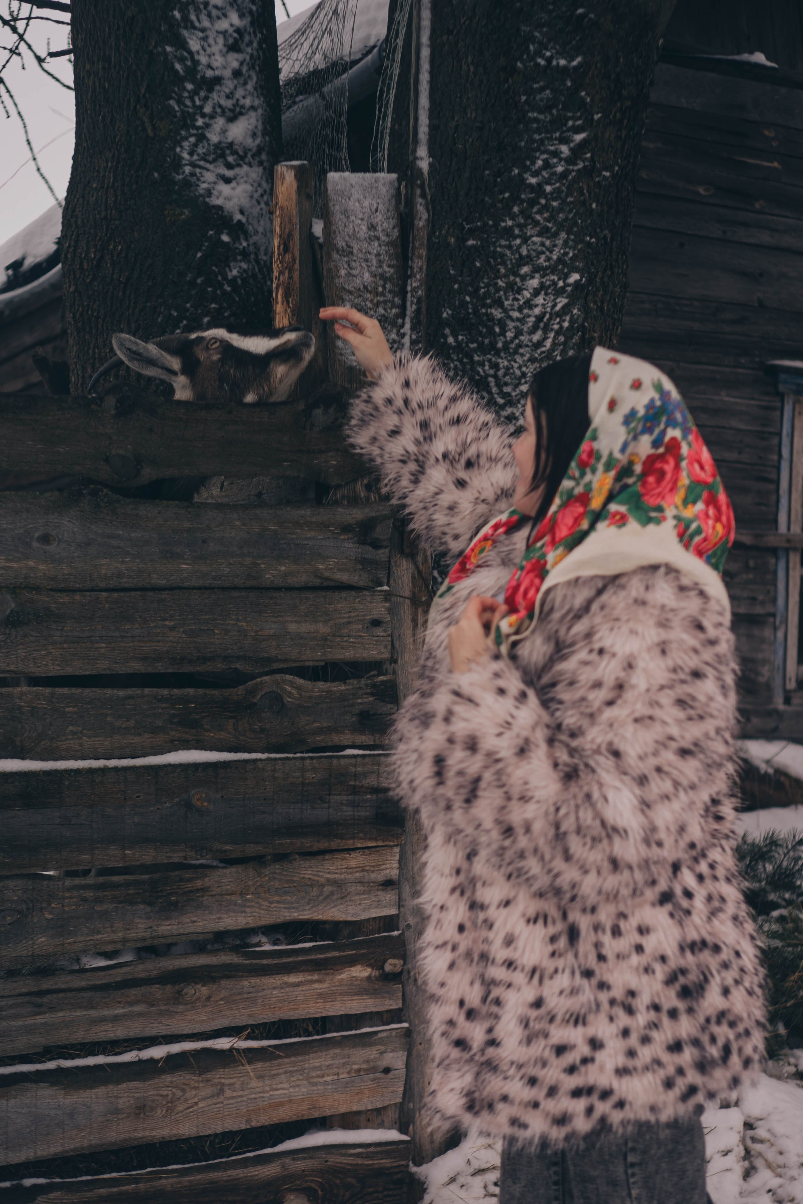 Деревня. Профессиональный фотограф, Санкт-Петербург — Виктория Богомолова