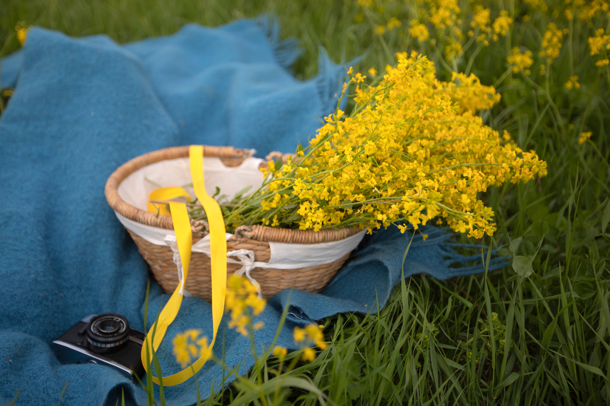 Цветение в июне. ДЕТСКИЙ И СЕМЕЙНЫЙ ФОТОГРАФ в Сосново, Ленинградской области и Спб