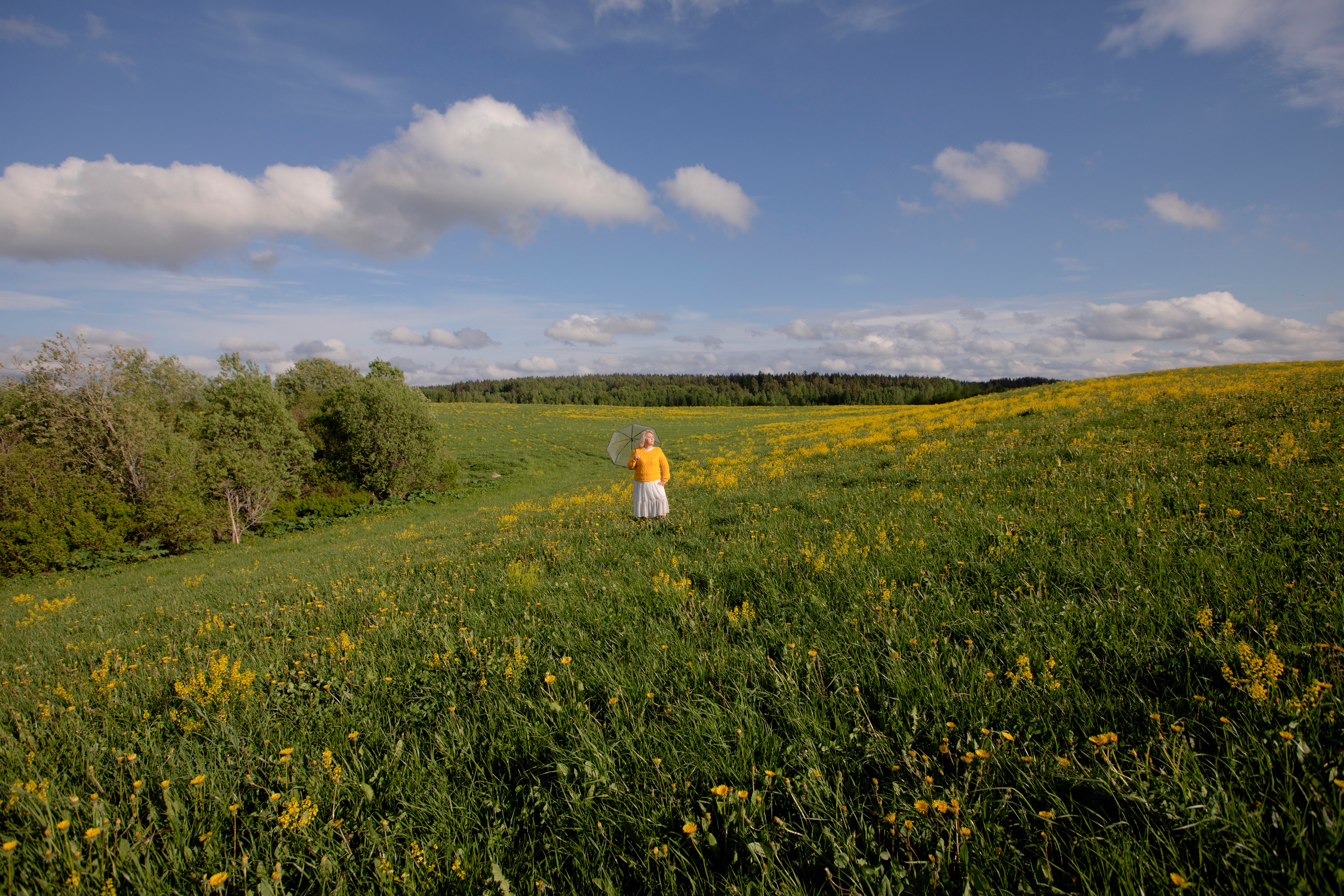Цветение в июне. ДЕТСКИЙ И СЕМЕЙНЫЙ ФОТОГРАФ в Сосново, Ленинградской области и Спб