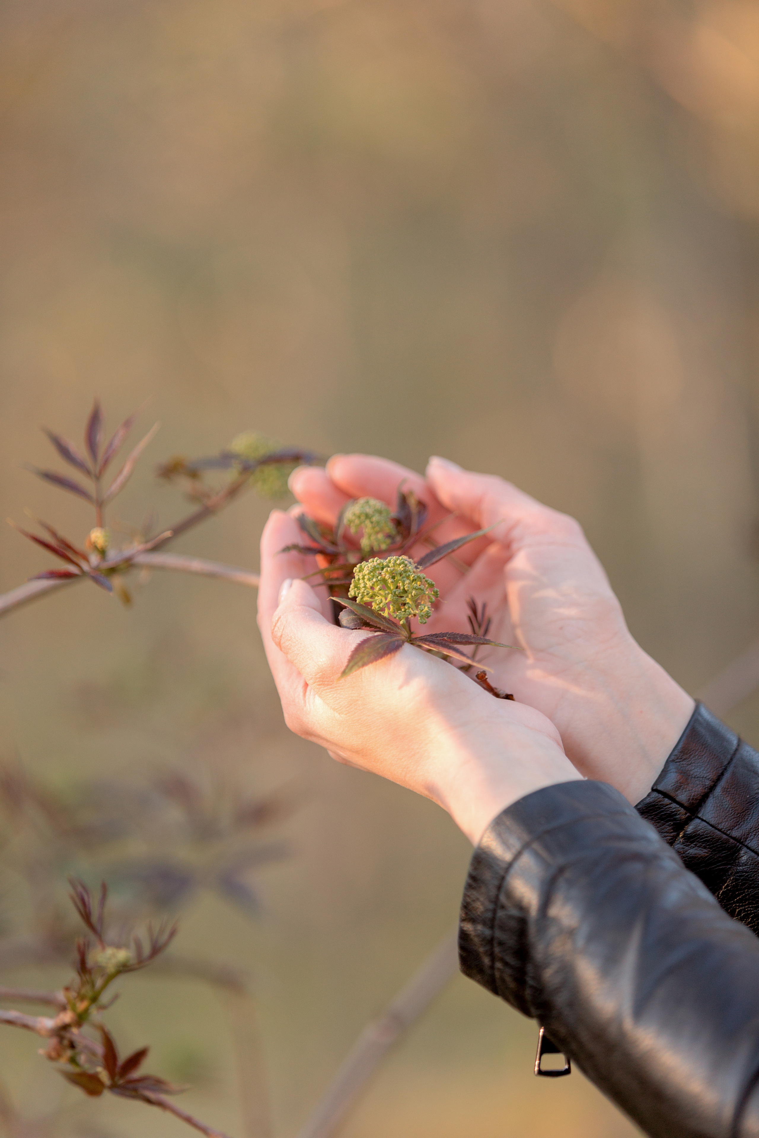 Истории. ДЕТСКИЙ И СЕМЕЙНЫЙ ФОТОГРАФ в Сосново, Ленинградской области и Спб