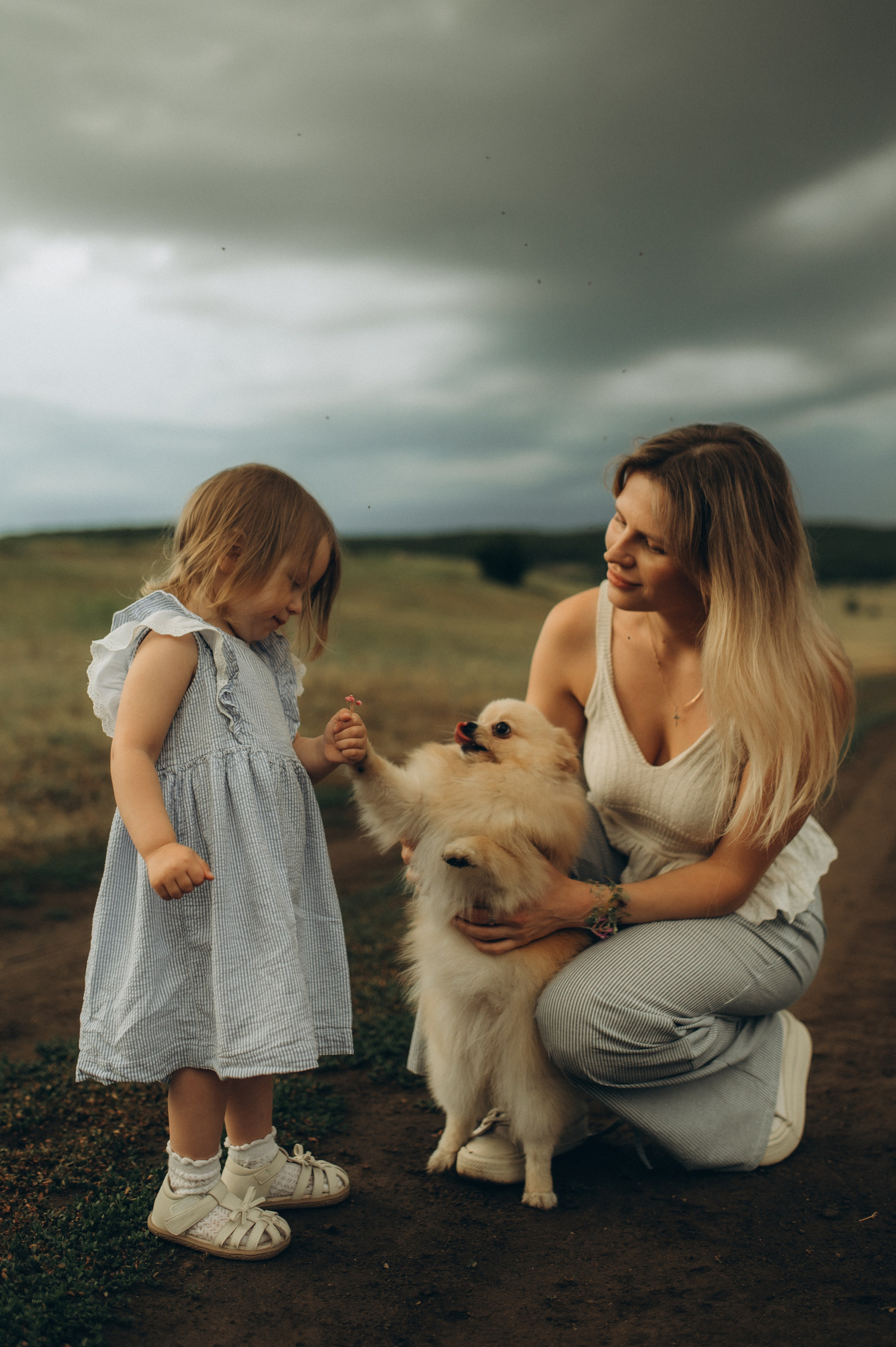 В грозу. Фотограф Быстрова Дарья г. Москва