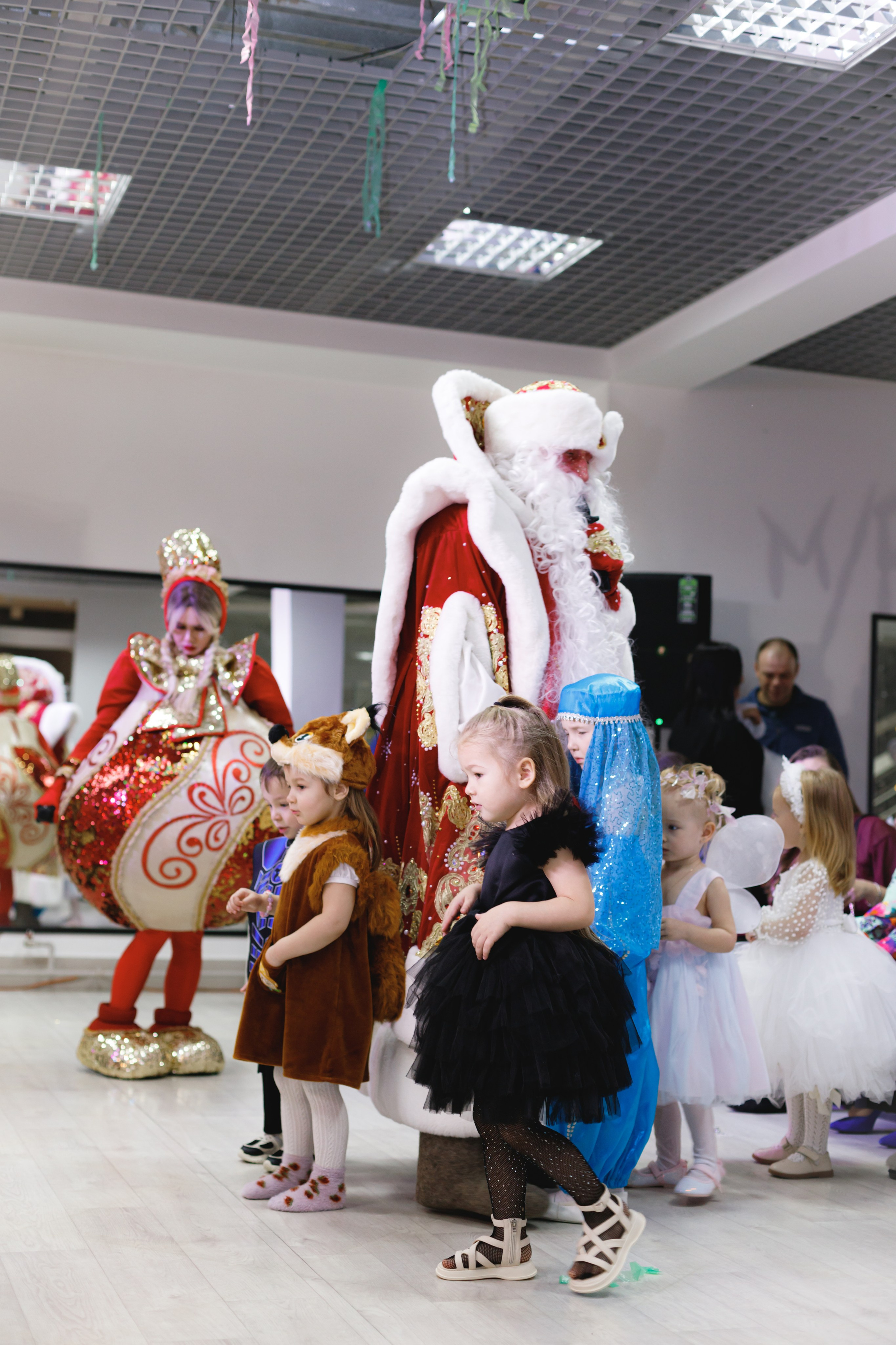 Happy new year. Photokarish