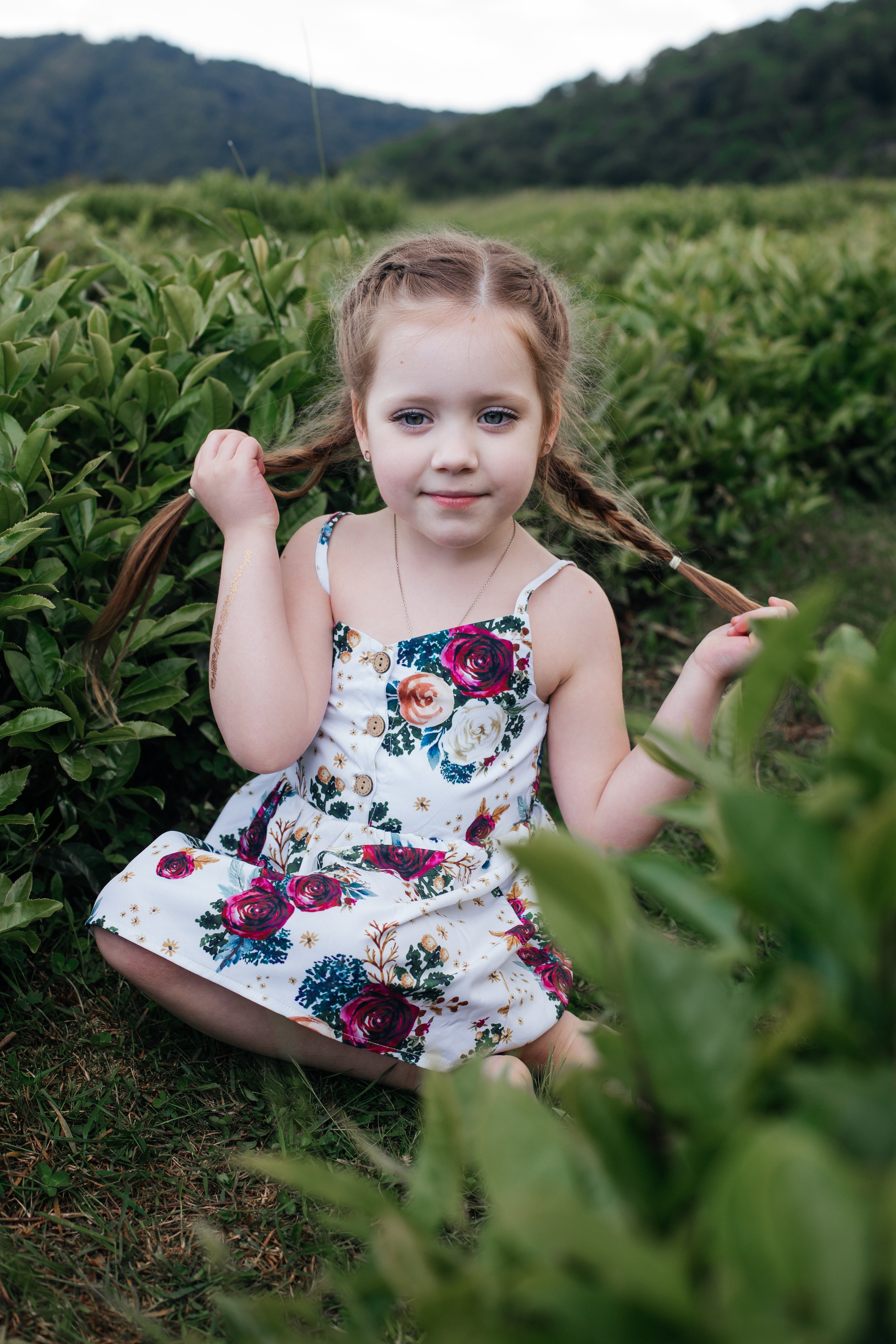 Tea plantation. Efimova Model Agency