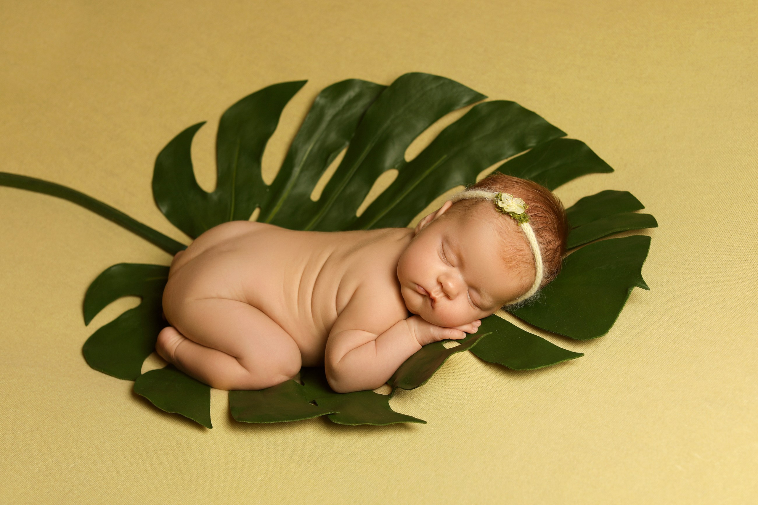 фотосессии новорожденных великий новгород