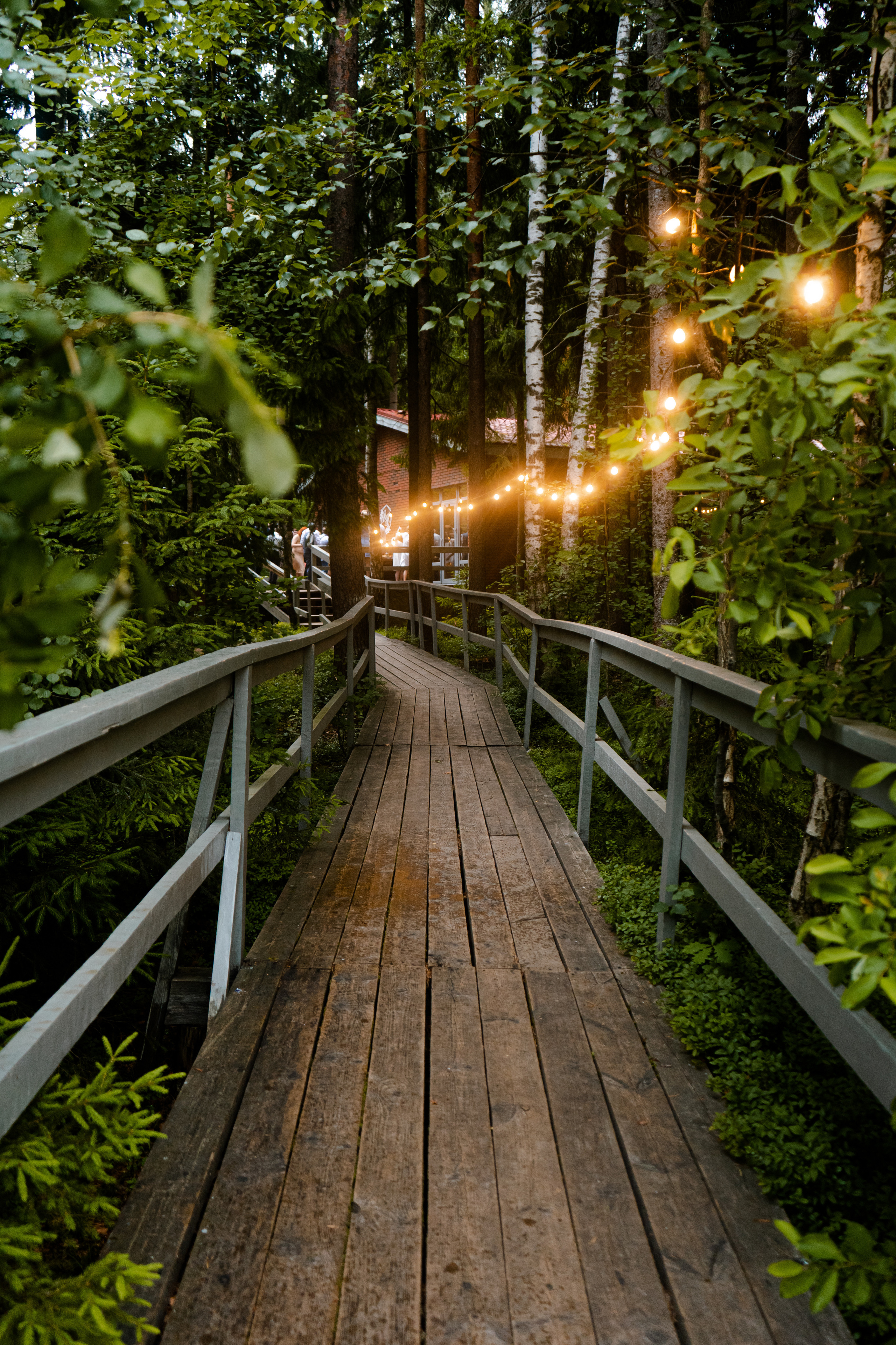 Алексей + Наталья. Фотограф Дмитриченко Дмитрий | Санкт-Петербург