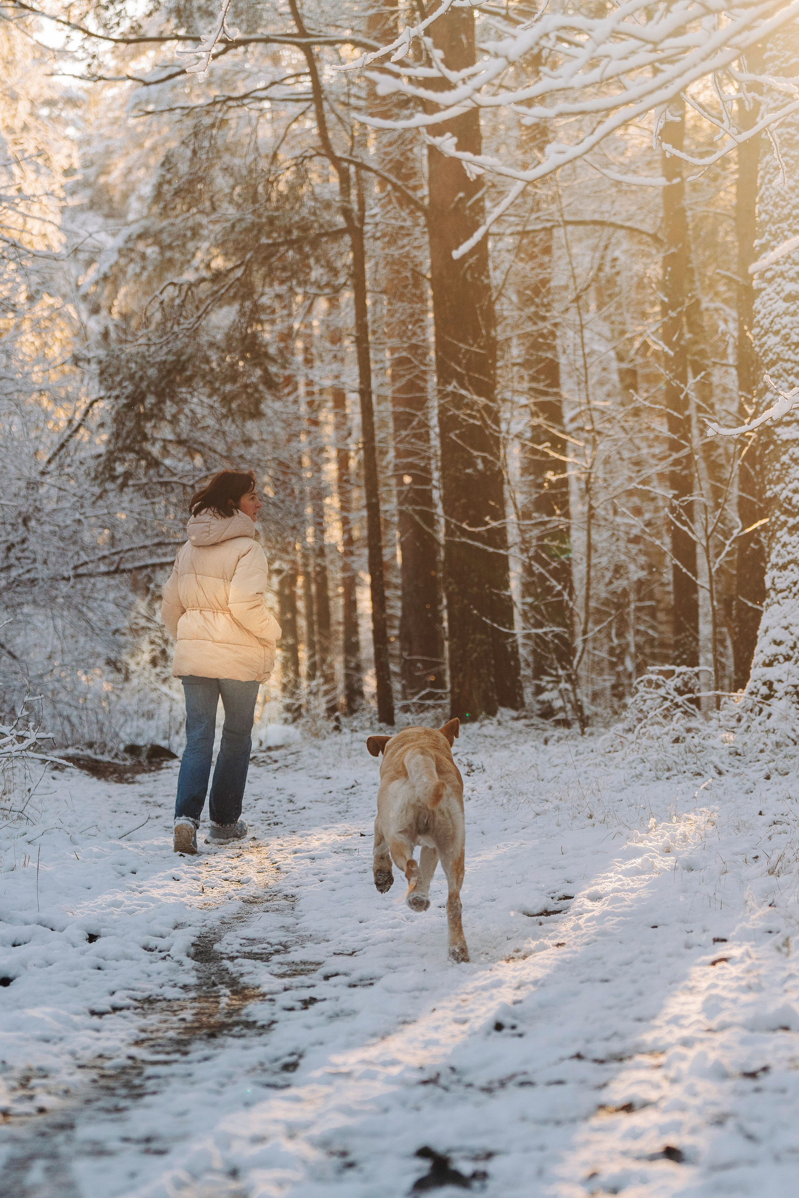 Аня и Честер. Фотограф анималист в Спб недорого Олеся Майорова