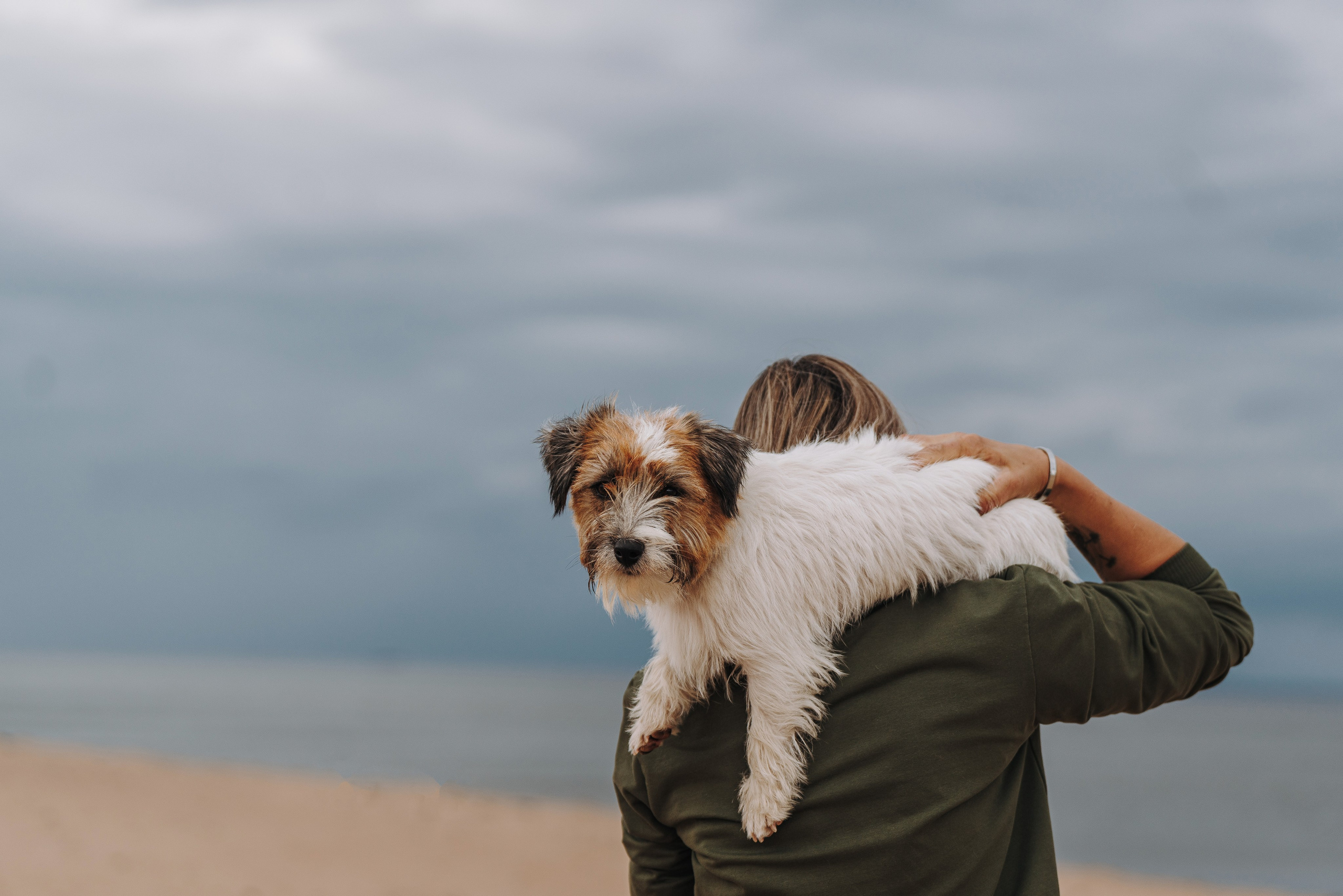 Оля, Ларс и Лукас. Фотограф анималист в Спб недорого Олеся Майорова