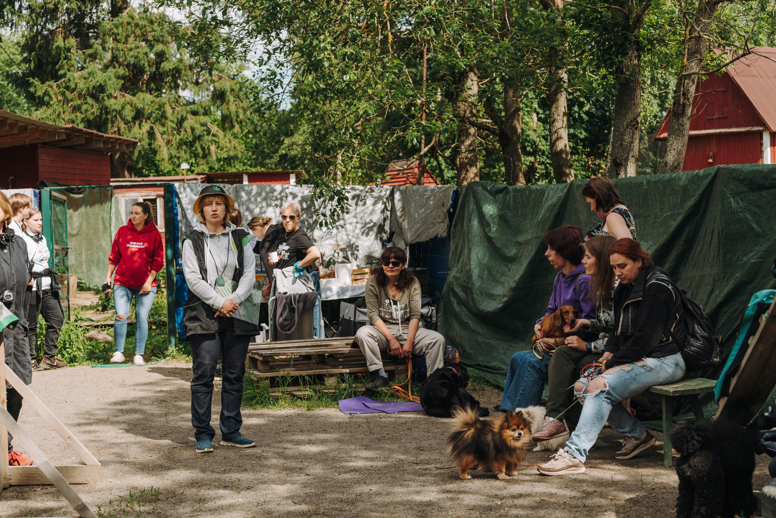 Соревнования по ноузворку. Фотограф анималист в Спб недорого Олеся Майорова