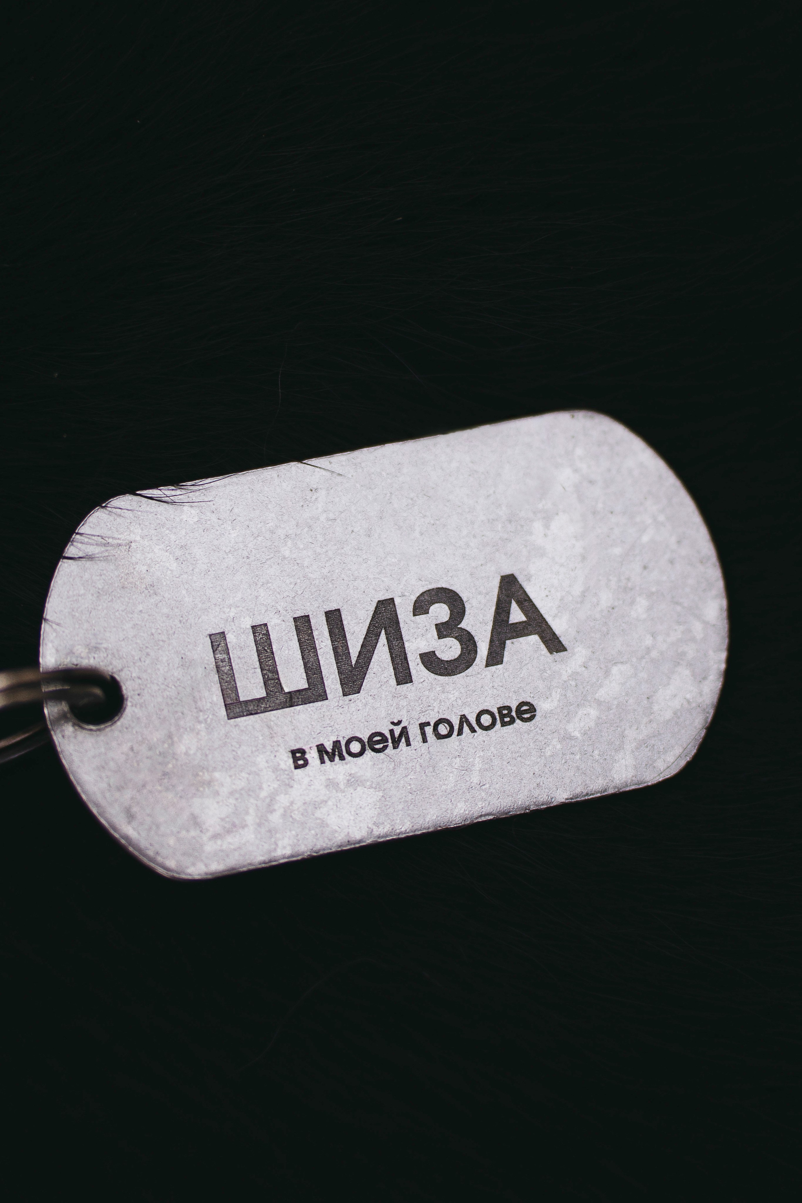 Эля и Шиза. Фотограф анималист в Спб недорого Олеся Майорова