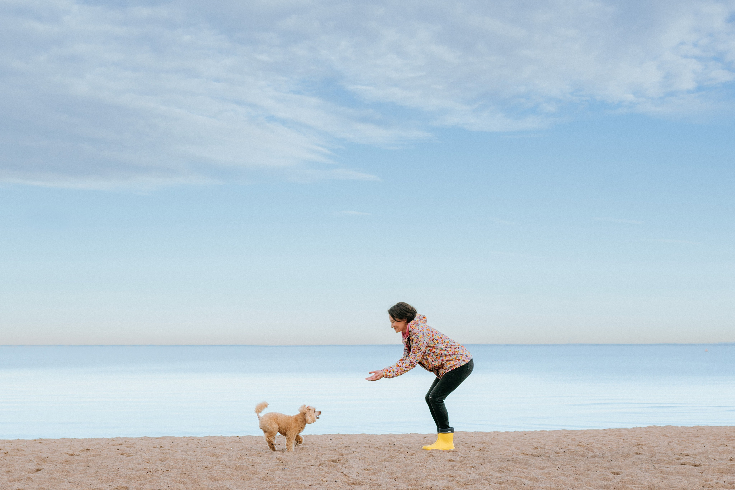 Фотосессия с собакой на пляже. Фотограф анималист в Спб недорого Олеся Майорова