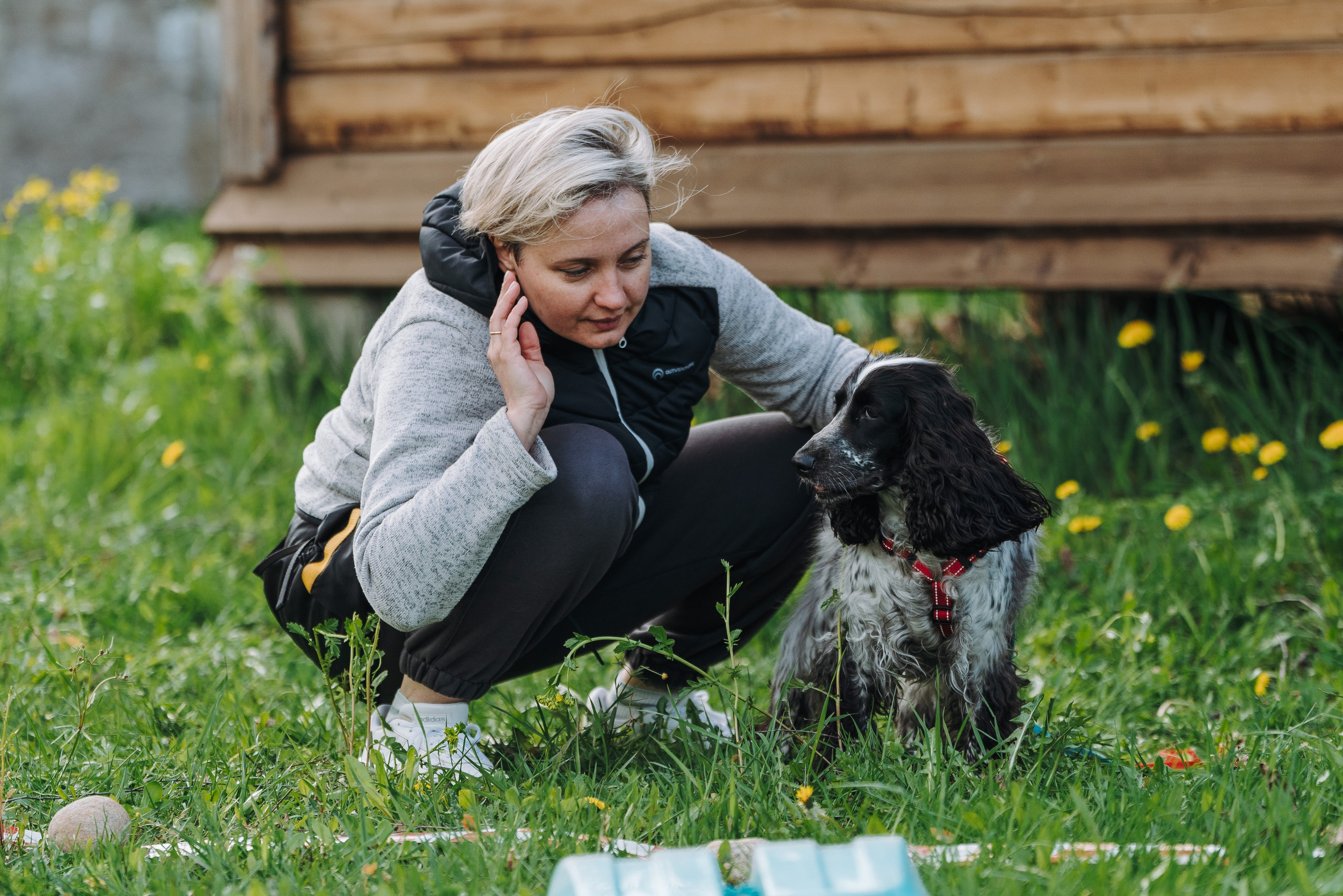Соревнования по ноузворку в Лосево. Фотограф анималист в Спб недорого Олеся Майорова
