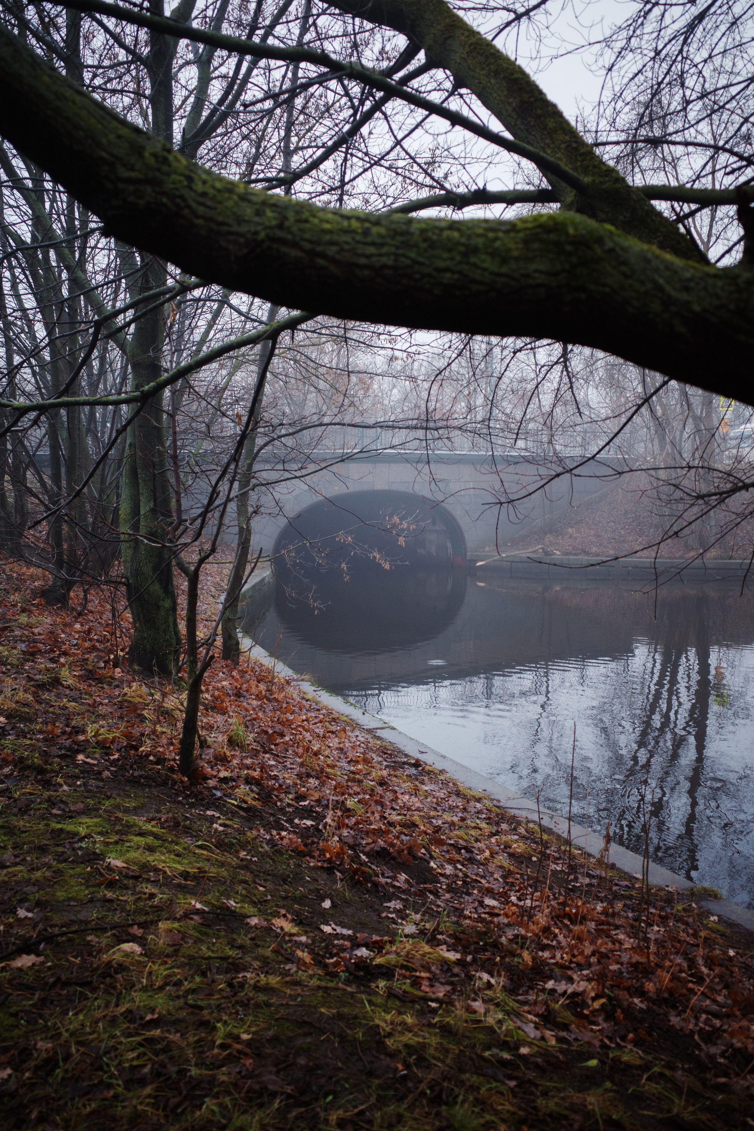 Репортаж. Stanislav Liepa Photography