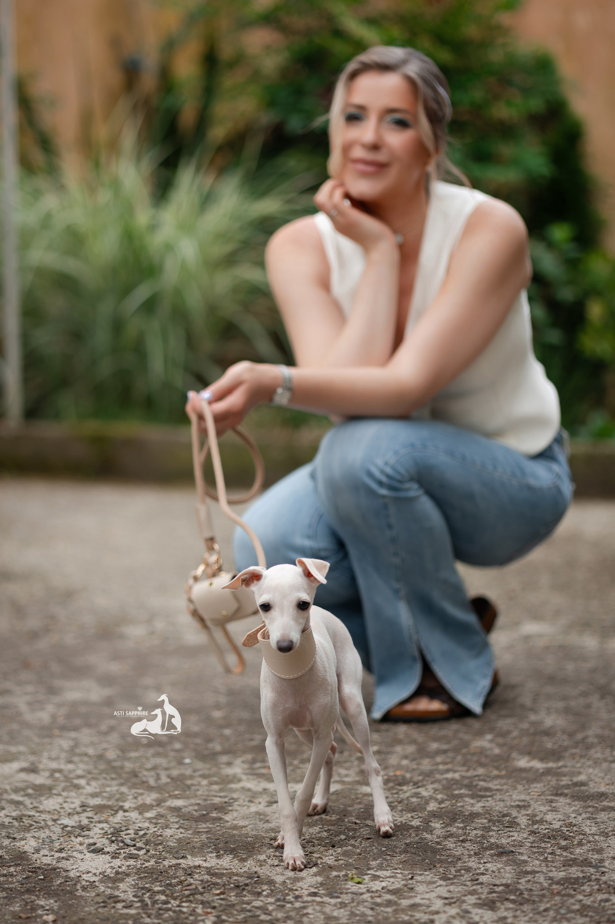 Чудесная шоу-девочка. Professional Italian Greyhound Kennel RKF/FCI ASTI SAPPHIRE 💎 Sochi|St. Petersburg