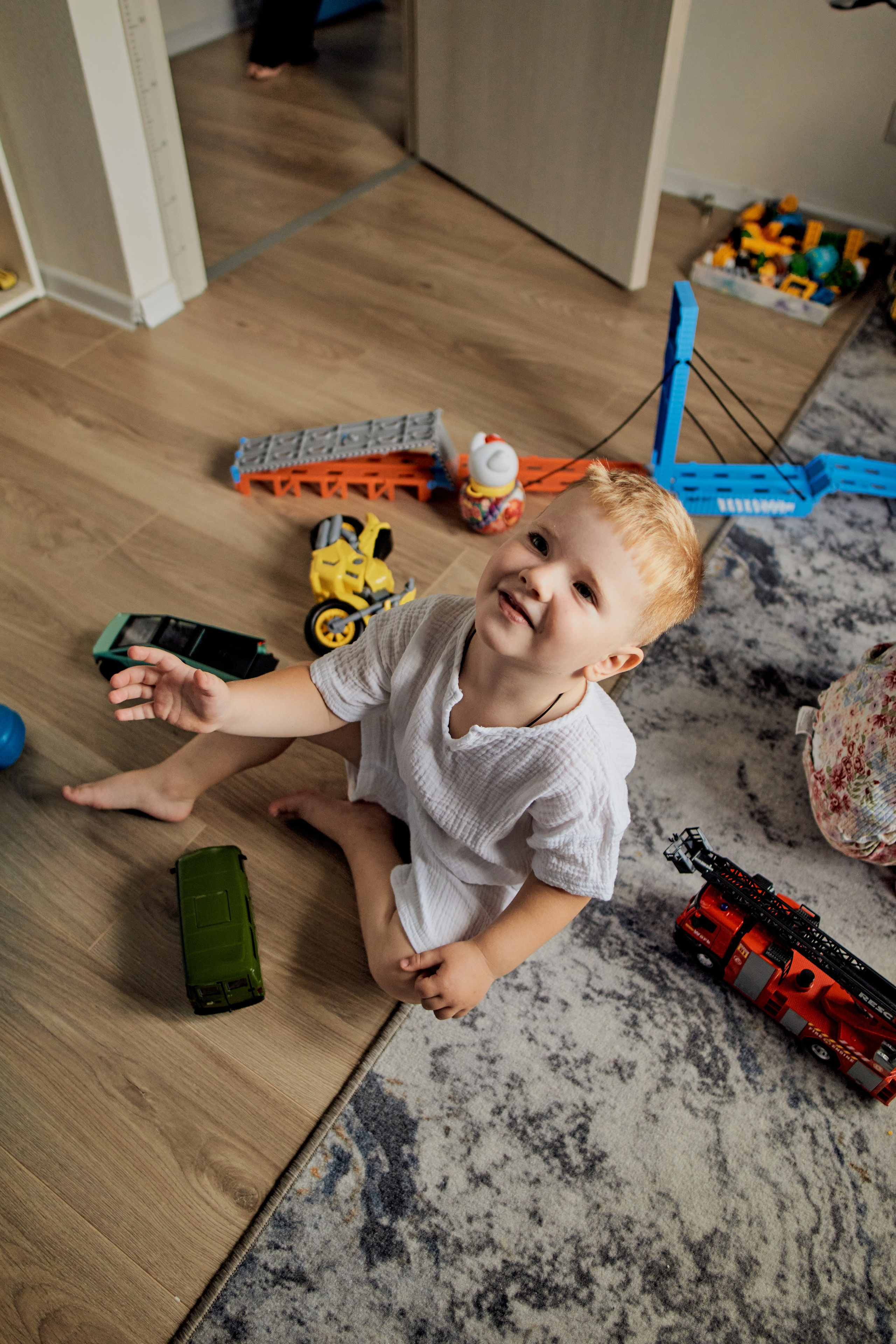 Три кота. Фотограф Москва