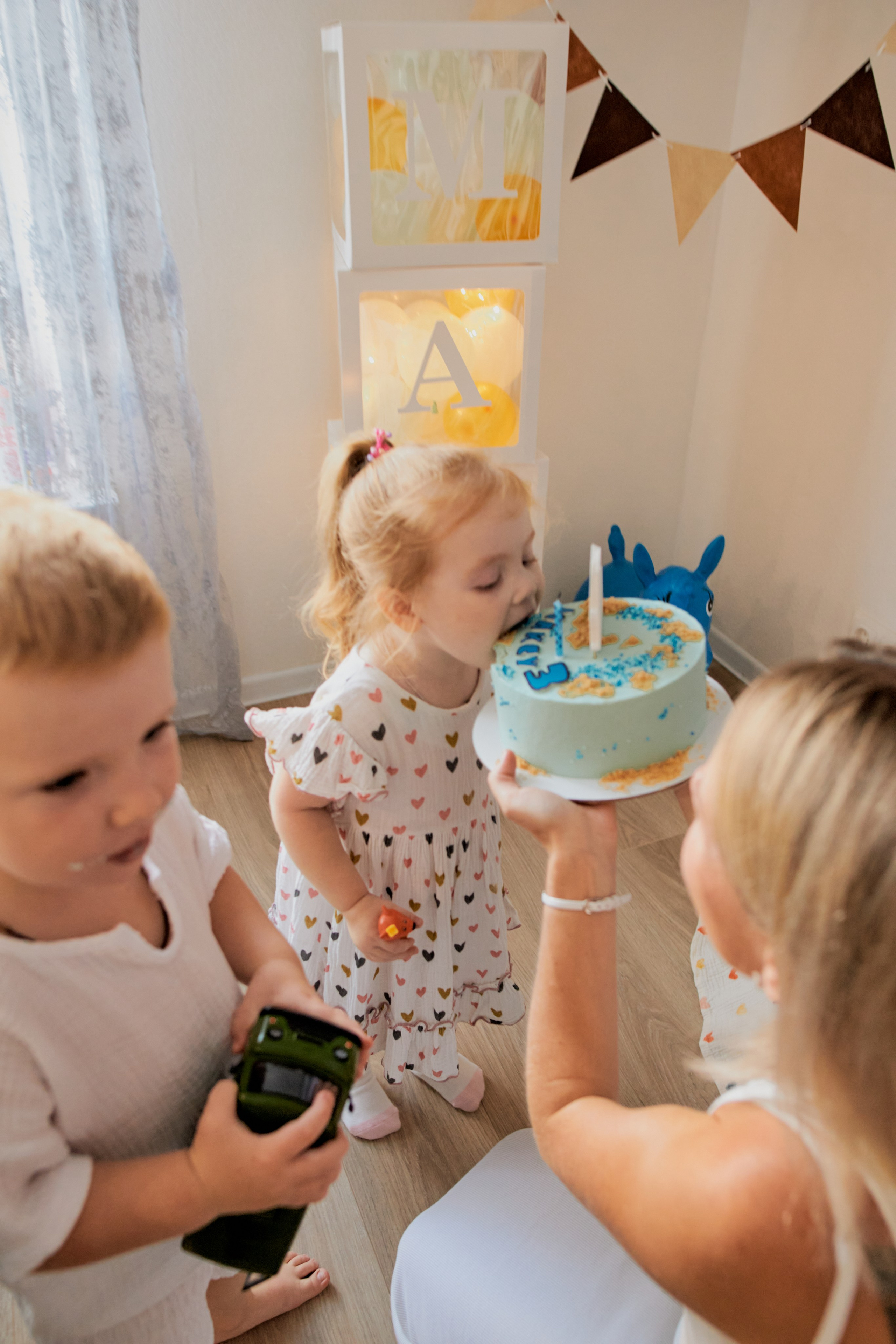 Три кота. Фотограф Москва