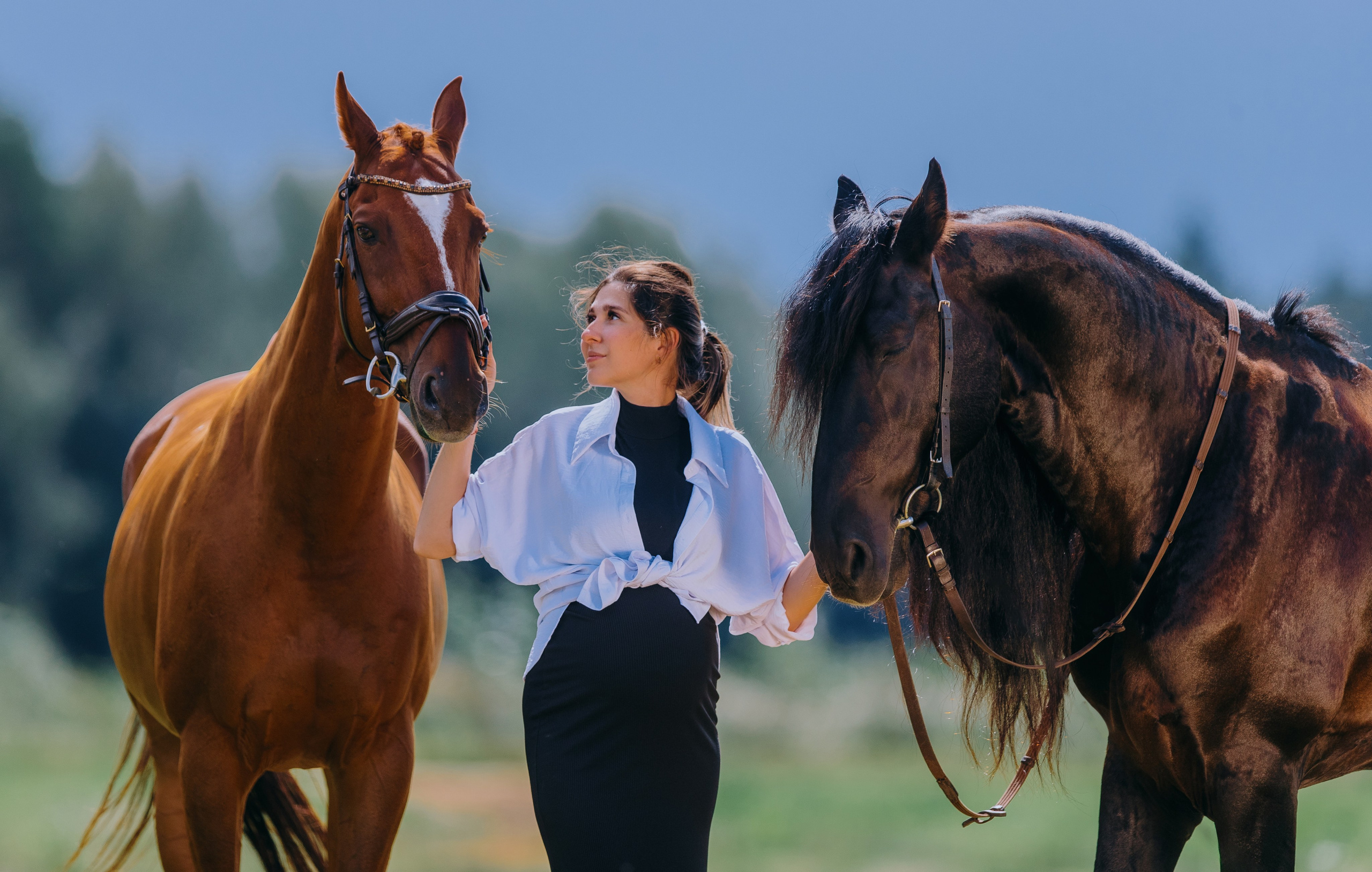Лена, Серёжа, Петя и Брабус. Фотограф-анималист Ксендзова Кристина