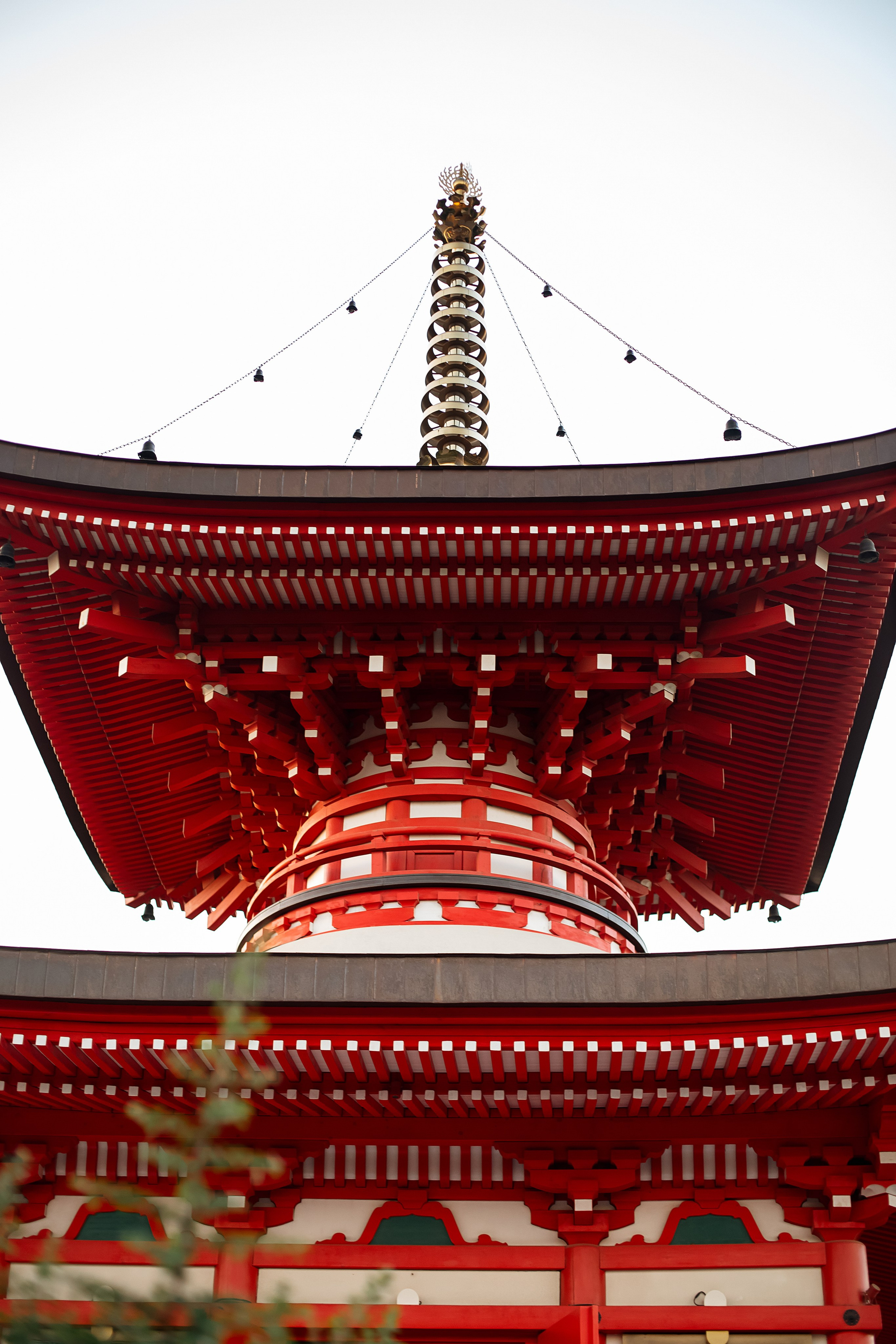 Фотосессия в Японском саду. Свадебный и семейный фотограф/видеограф в Краснодаре Наталья Осинская