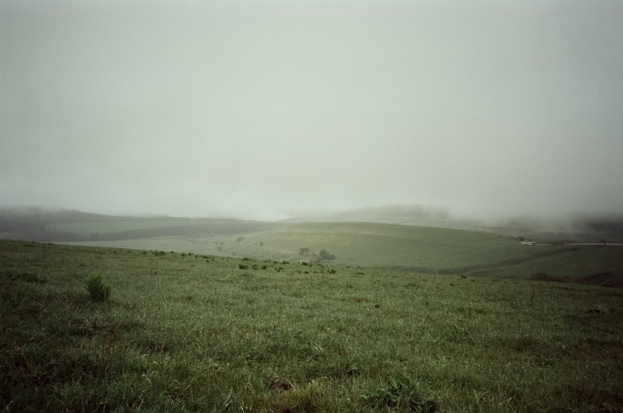 Дорога на Джилы-Су в дождливое утро. Туман. Фотограф-документалист Мария Осокина