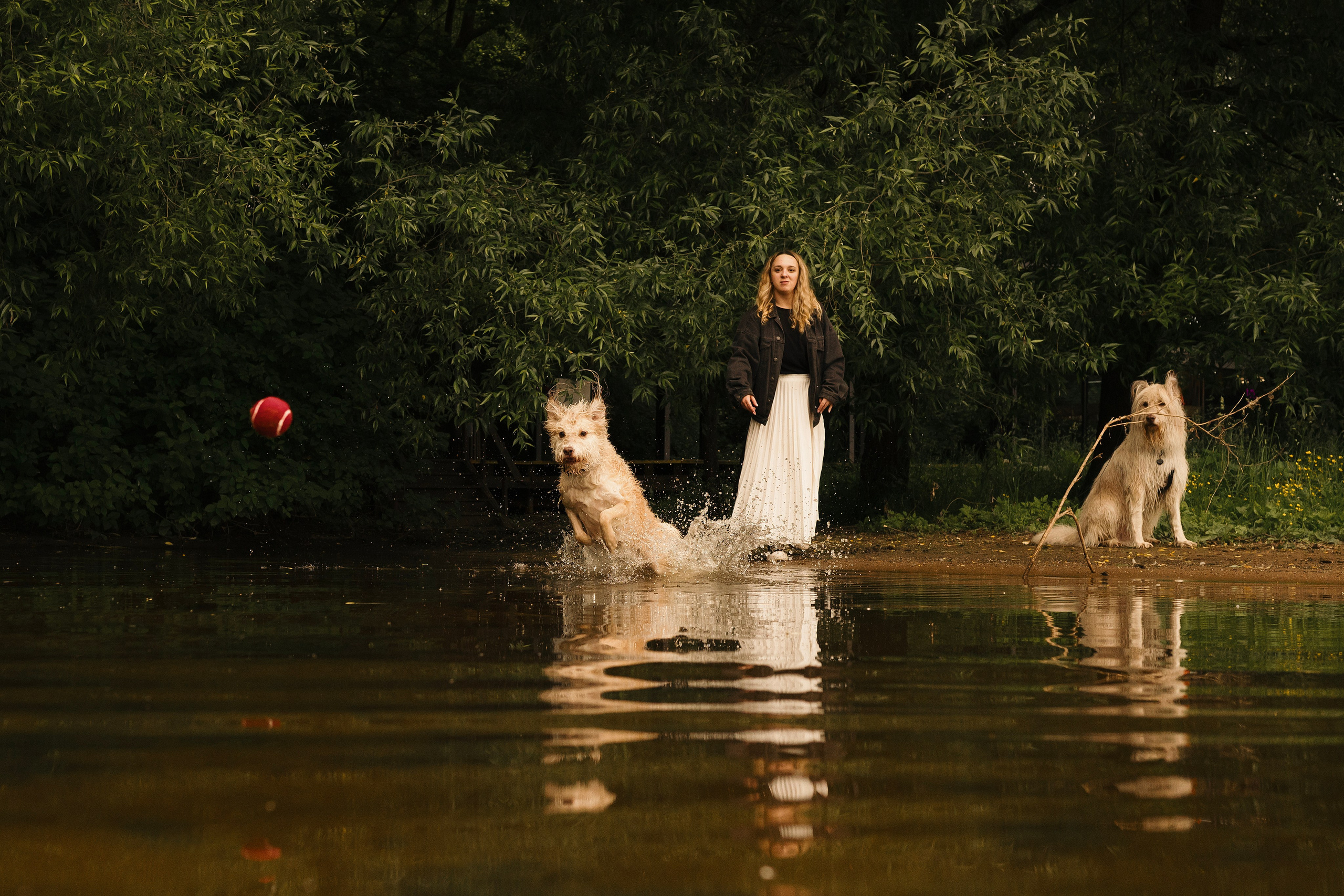 Акиро и Йоши. Фотограф- анималист Александра Матвеева