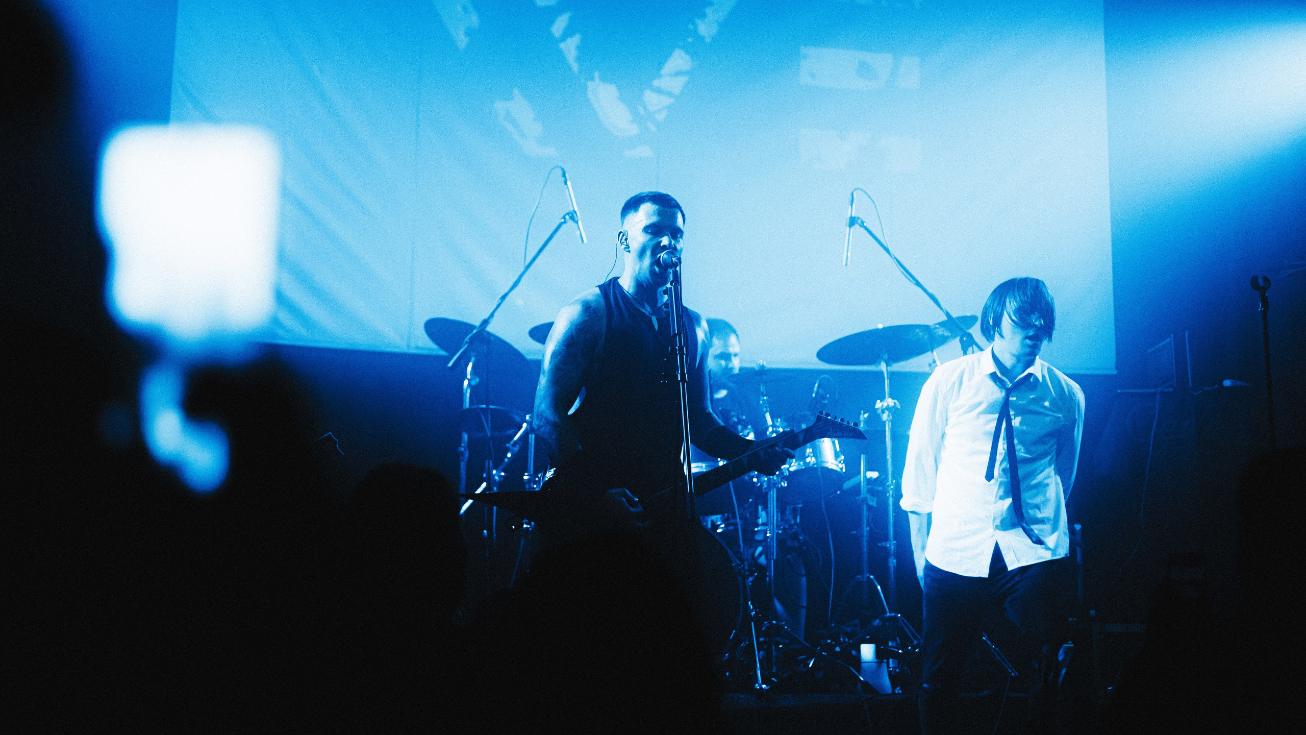 WITNESS EFFECT | 19.04.25 | Ласточка