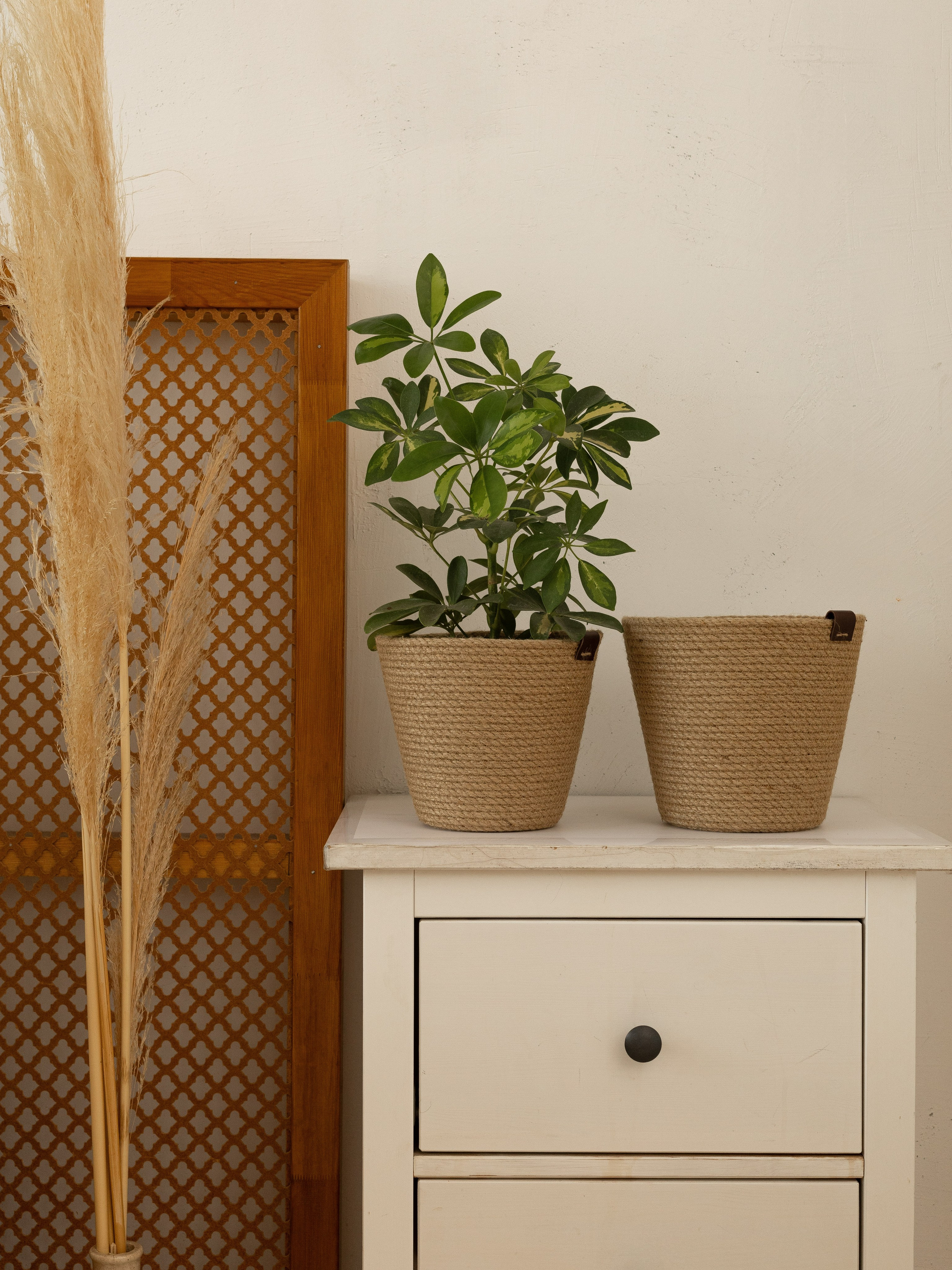 Предметная съемка. Коммерческий фотограф Даша Потоцкая