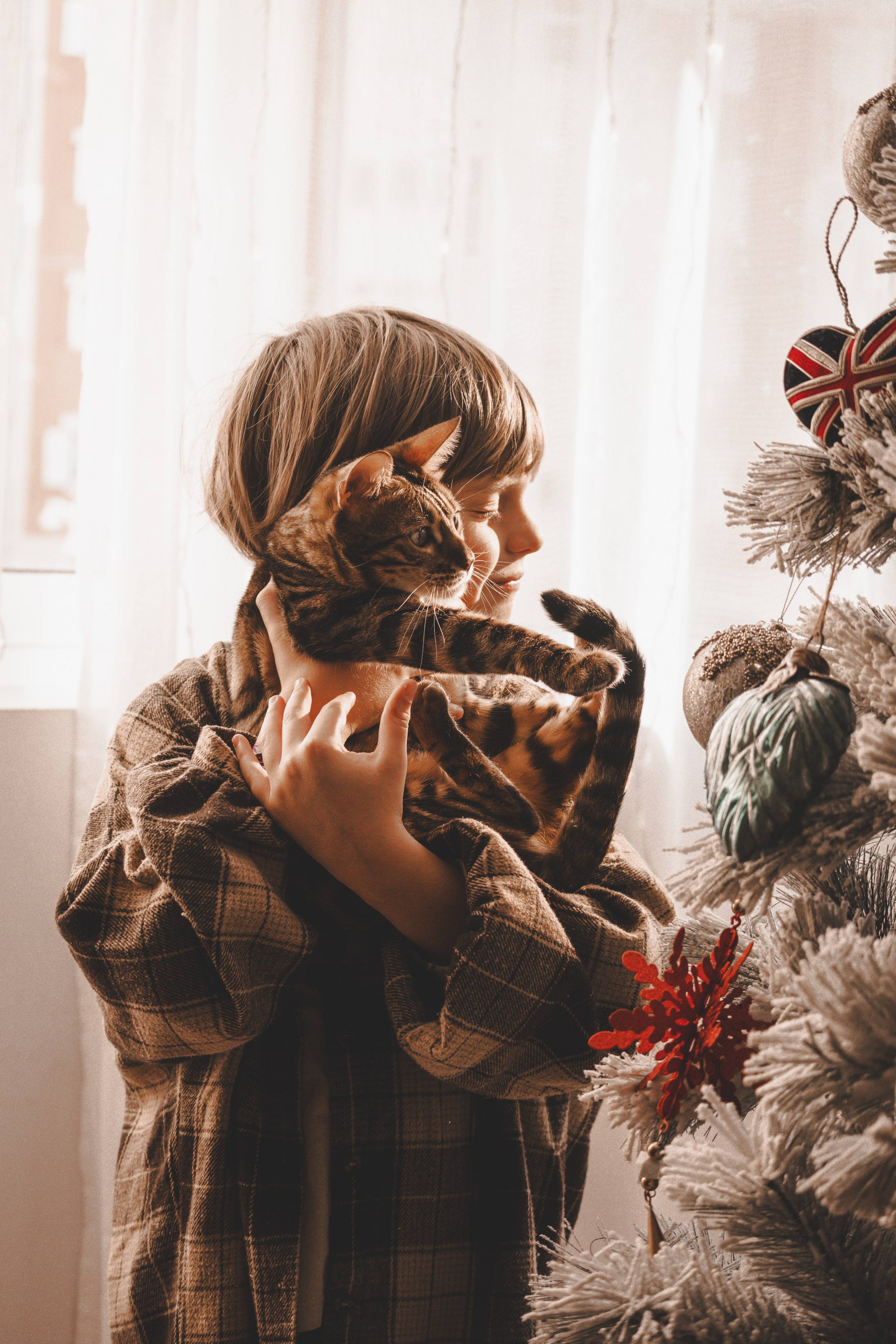 Christmas. IANA VOLITSKAYA. LifeStyle Photographer in Gibraltar