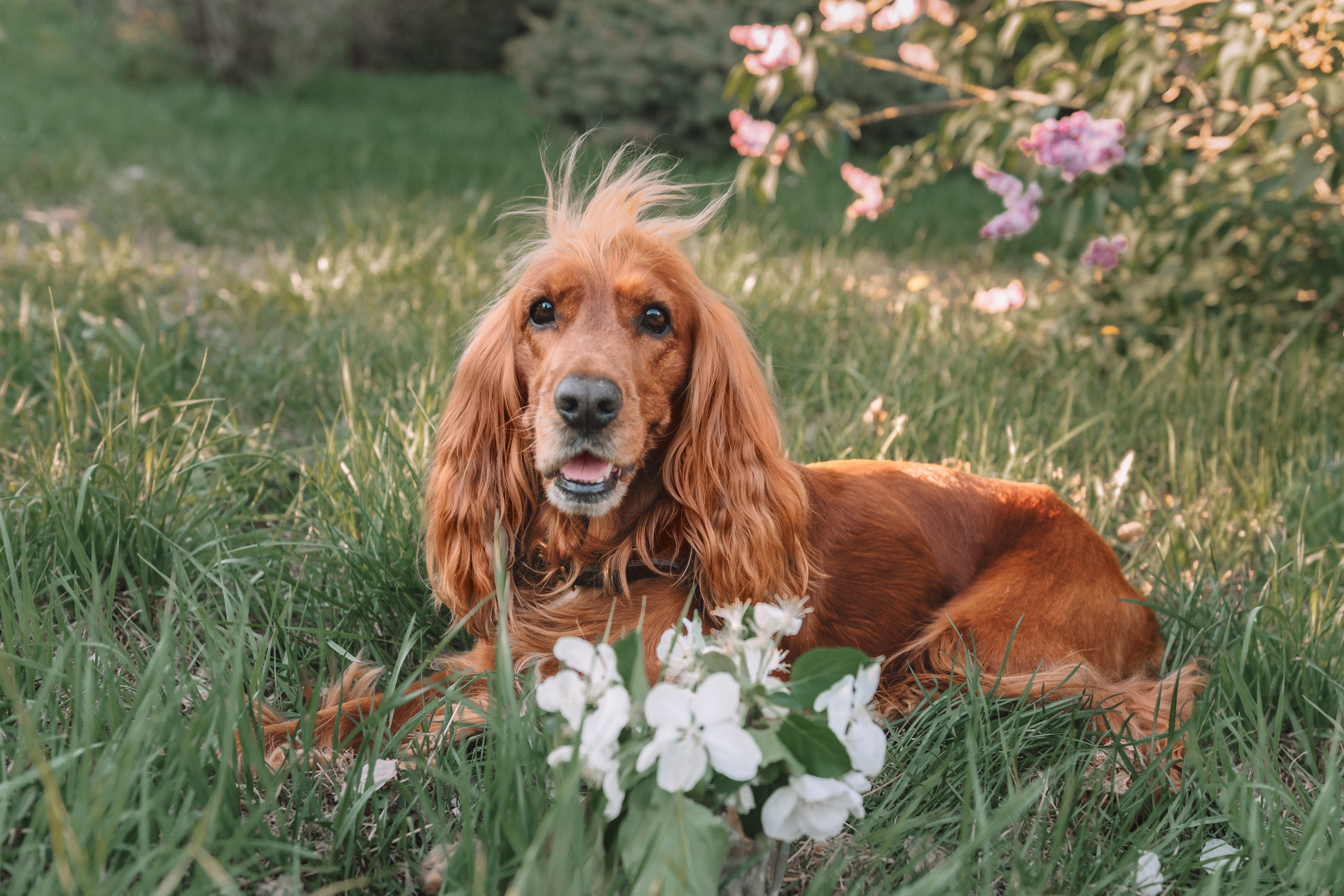Май. Катя и Марвел. Церковный фотограф на Таинство Крещения и Венчания в Оренбурге и Оренбургской области Екатерина Белкина