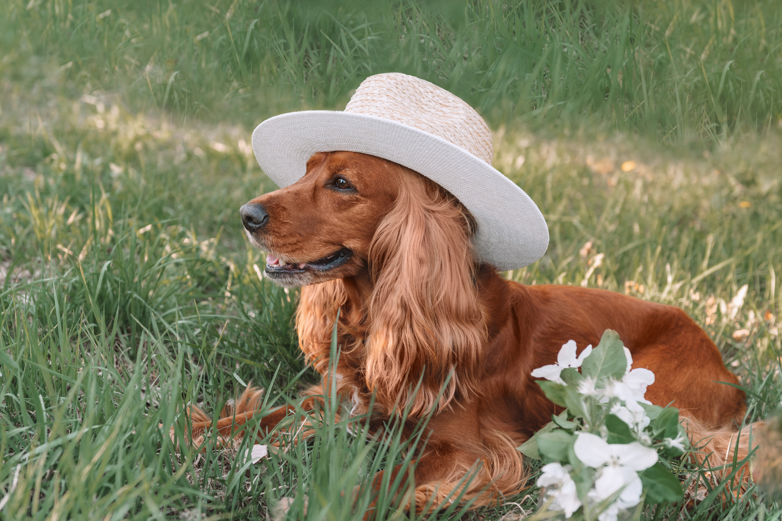 Май. Катя и Марвел. Церковный фотограф на Таинство Крещения и Венчания в Оренбурге и Оренбургской области Екатерина Белкина