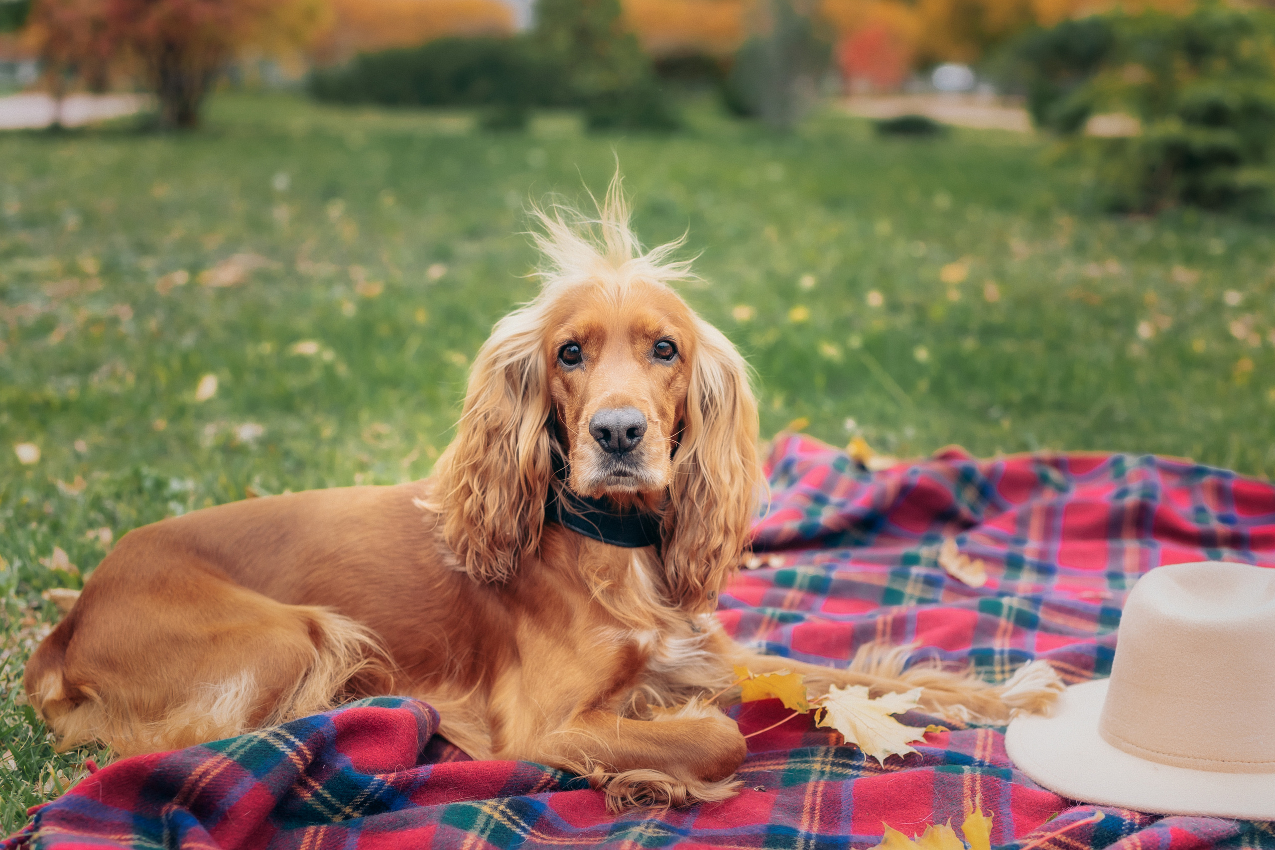Осенняя фотосессия. Церковный фотограф на Таинство Крещения и Венчания в Оренбурге и Оренбургской области Екатерина Белкина