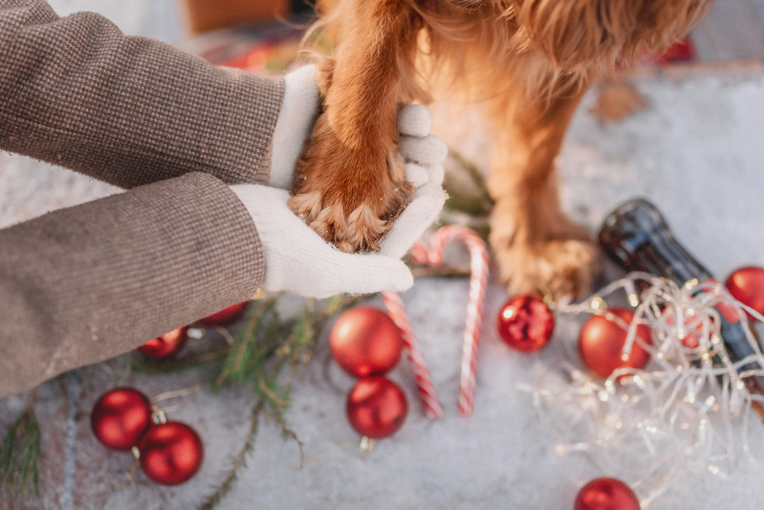 Новогодняя фотосессия для Кати и Марвела. Церковный фотограф на Таинство Крещения и Венчания в Оренбурге и Оренбургской области Екатерина Белкина