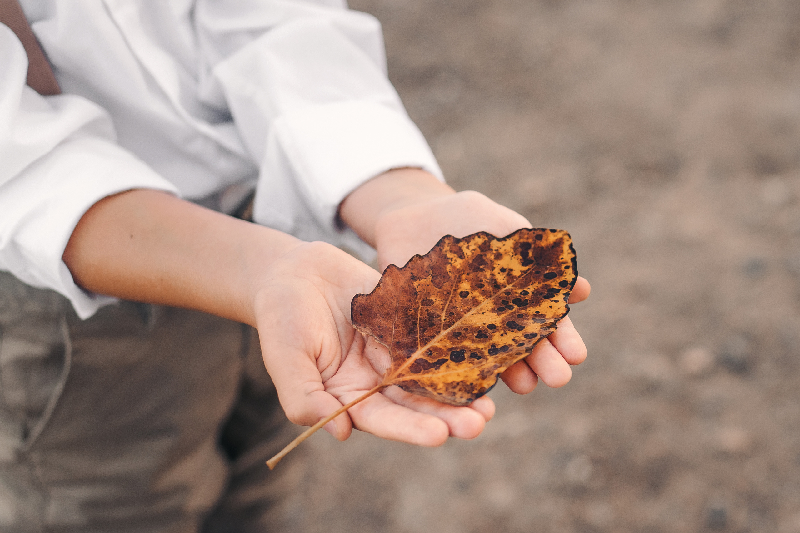 Осень на море. Церковный фотограф на Таинство Крещения и Венчания в Оренбурге и Оренбургской области Екатерина Белкина